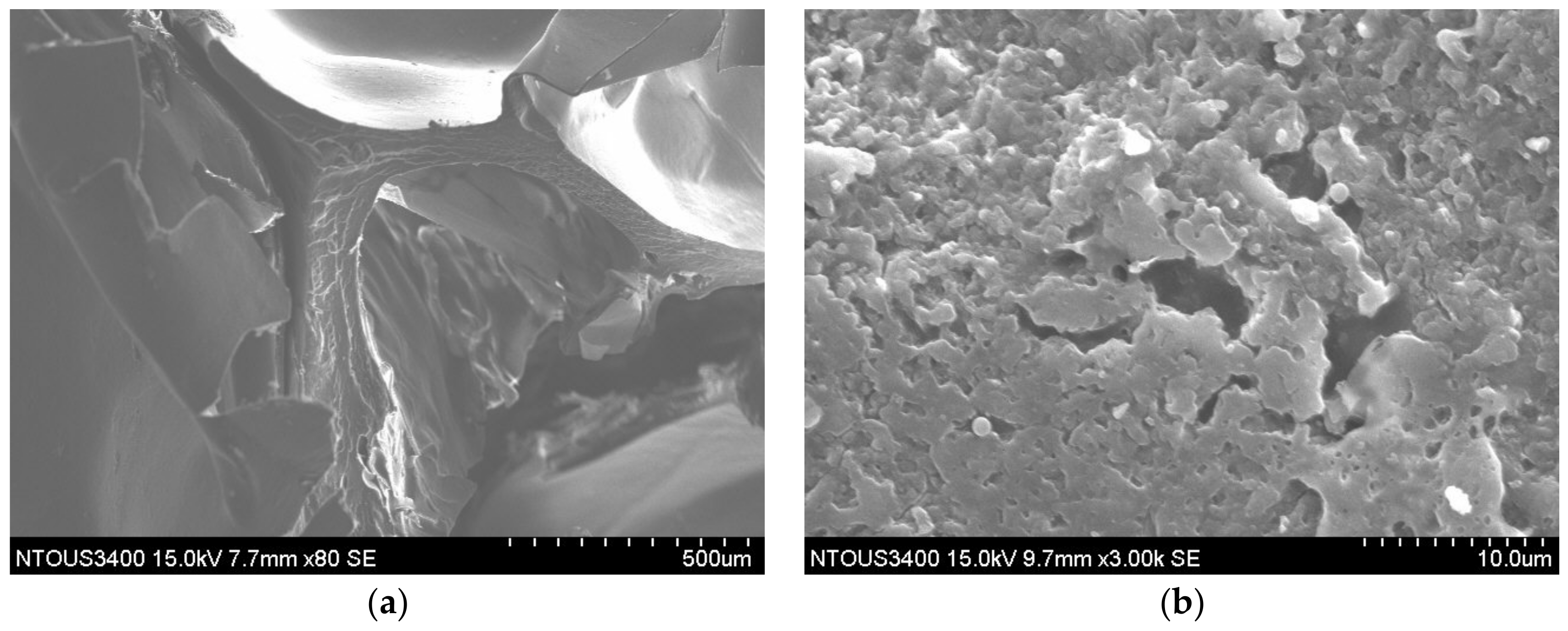 Foods 10 03029 g004a