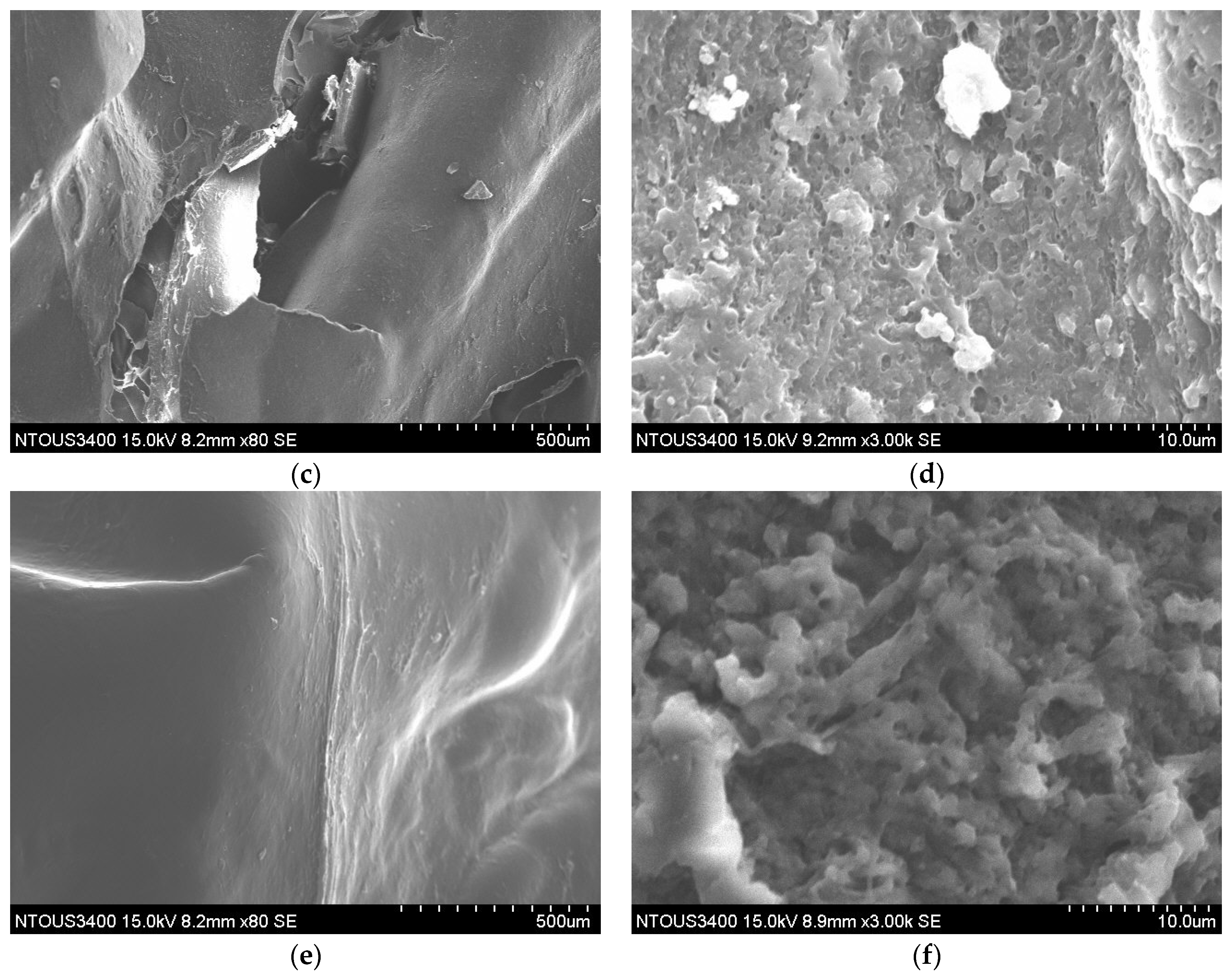 Foods 10 03029 g004b