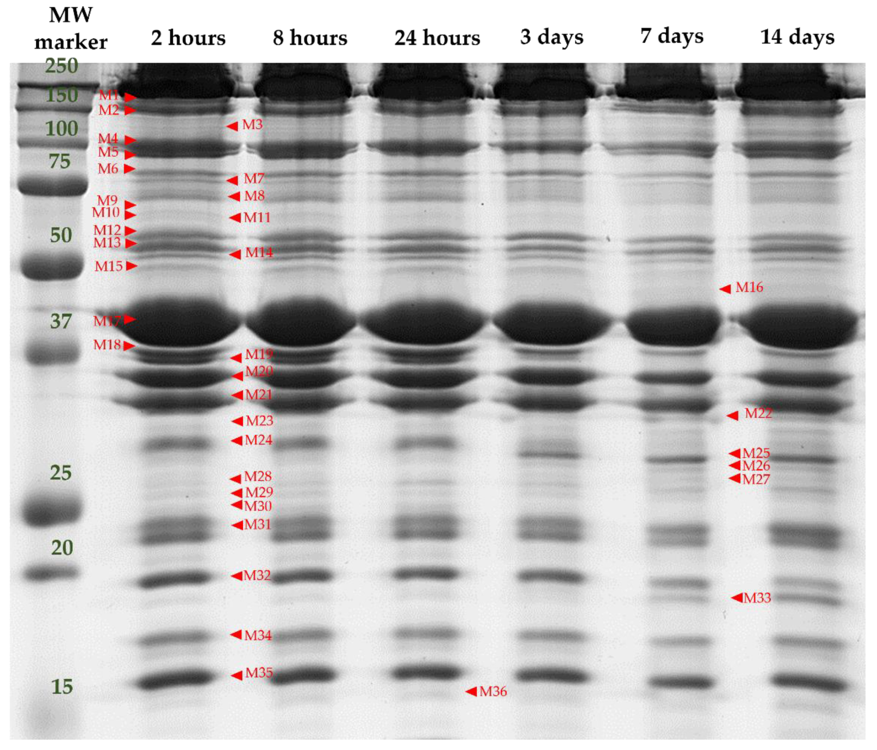 Foods 10 03115 g002 Foods 10 03115 g002