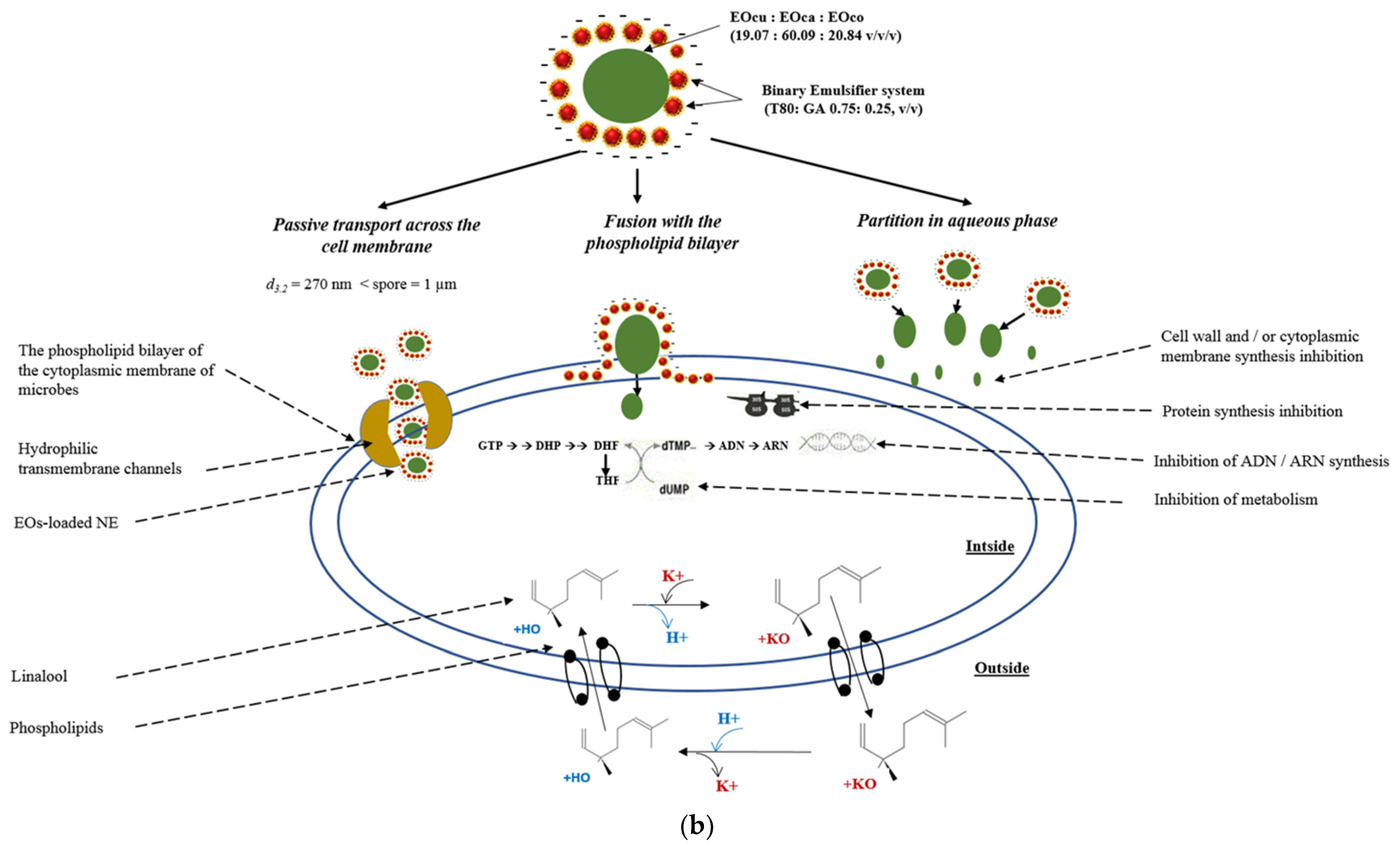 Foods 10 03149 g008b