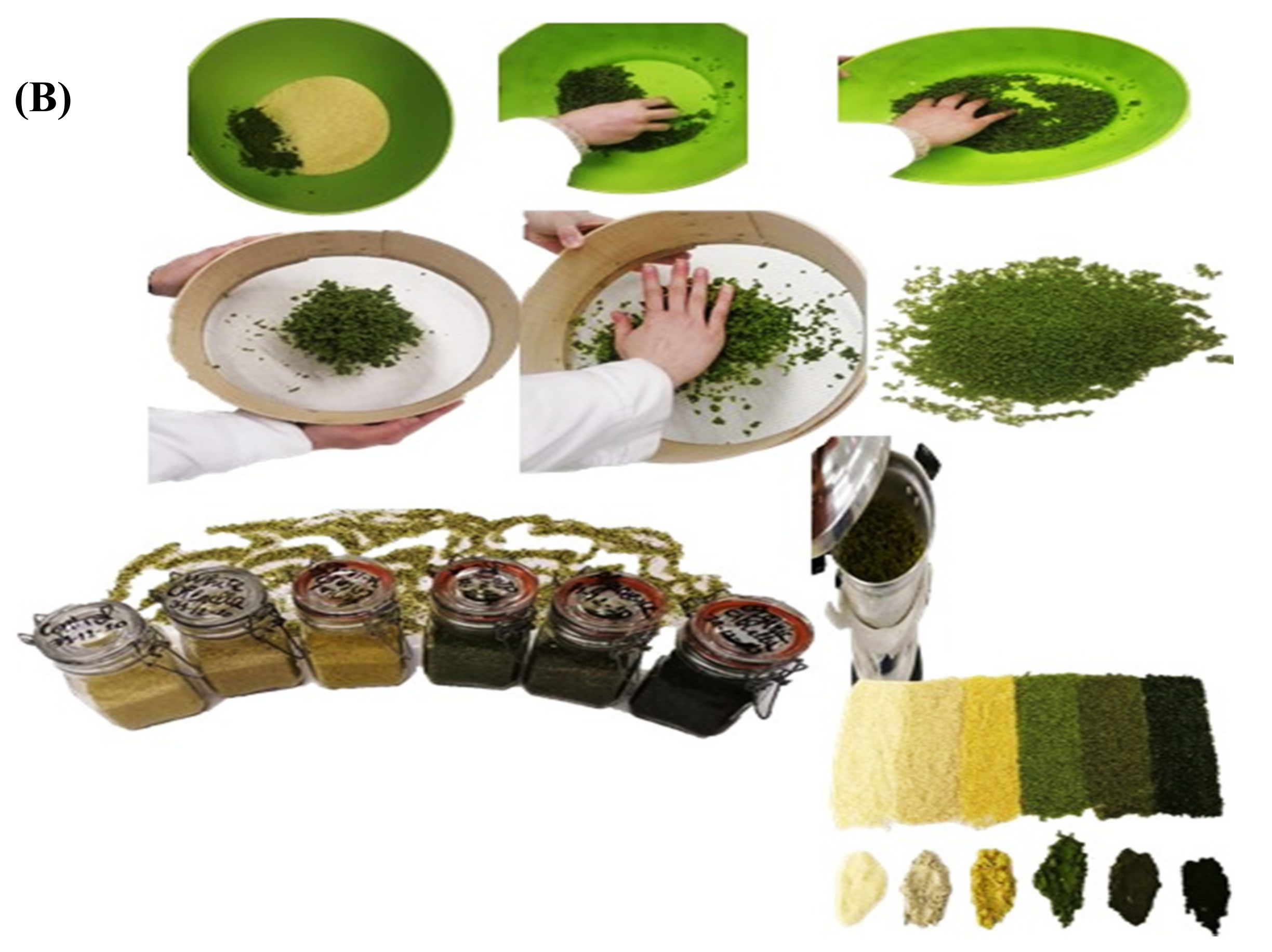 Foods 10 03159 g001b