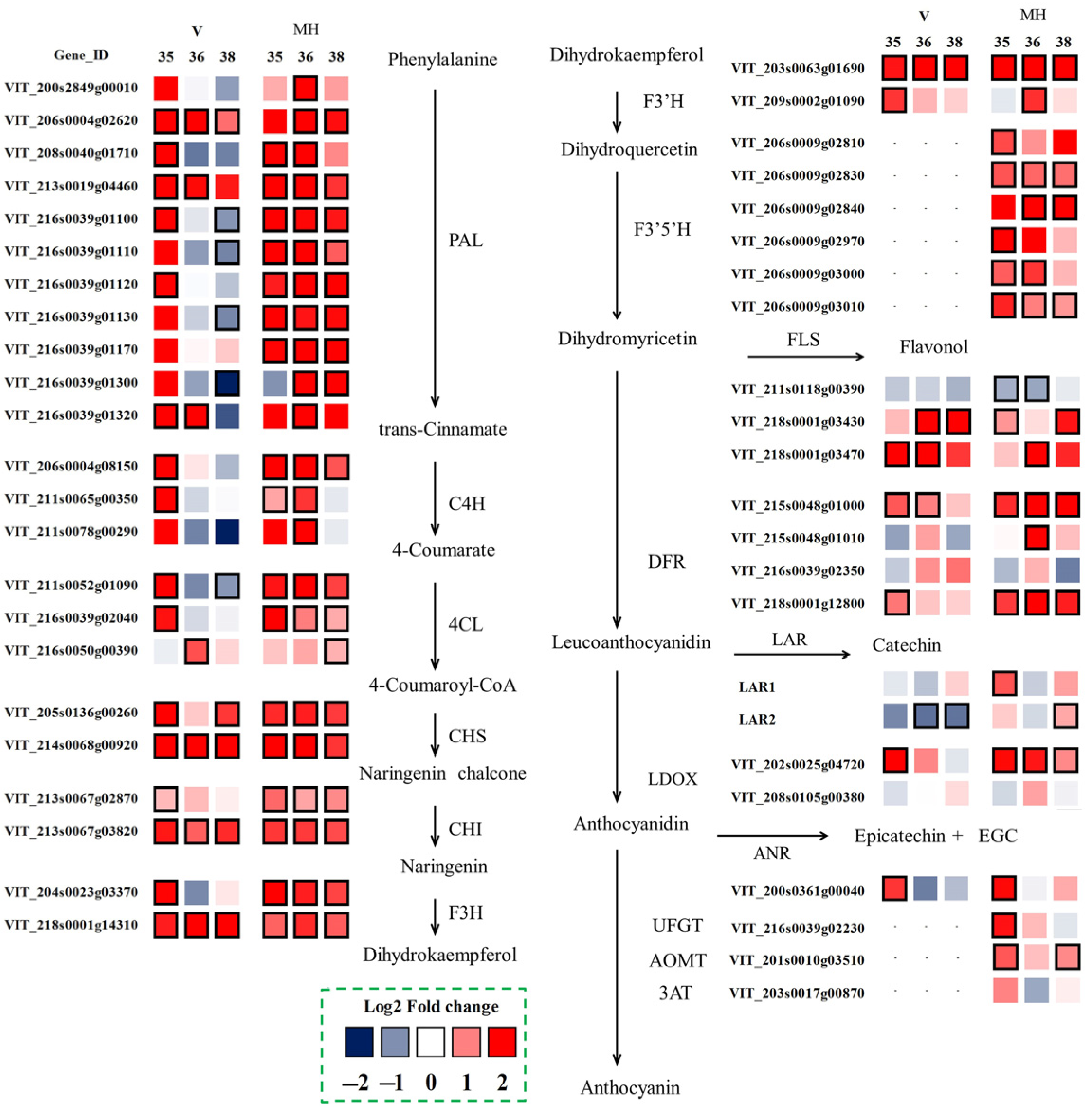 Foods 11 00048 g006 Foods 11 00048 g006