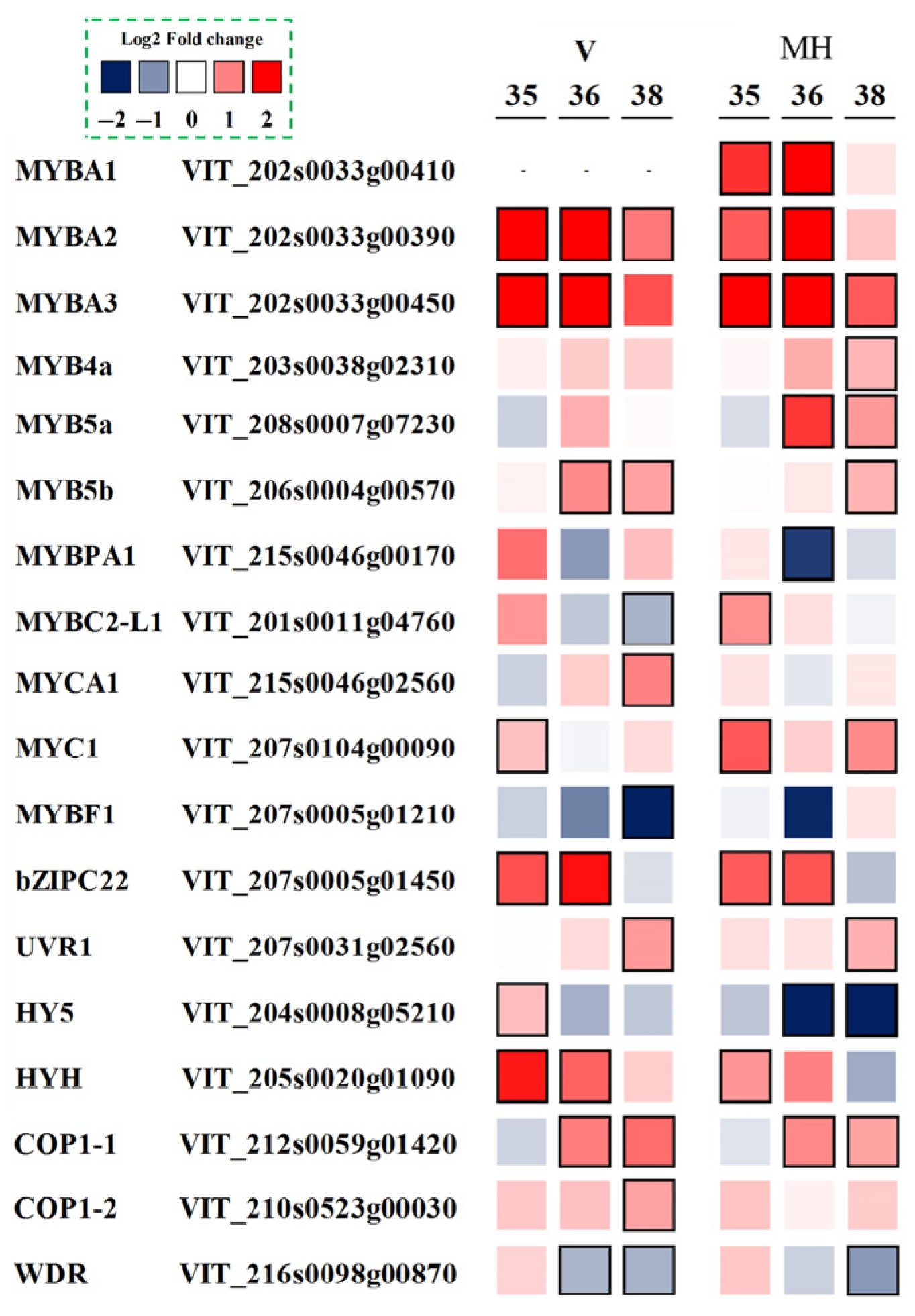 Foods 11 00048 g007 Foods 11 00048 g007