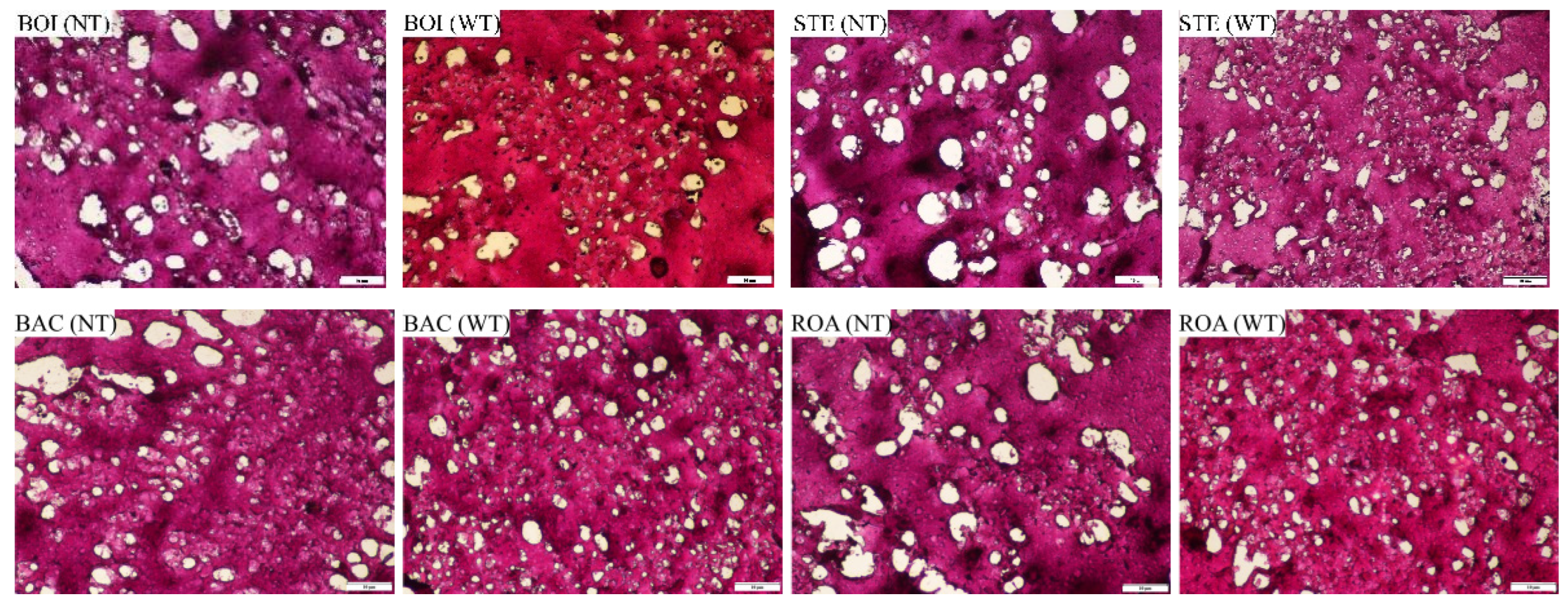 Foods 11 00066 g002a