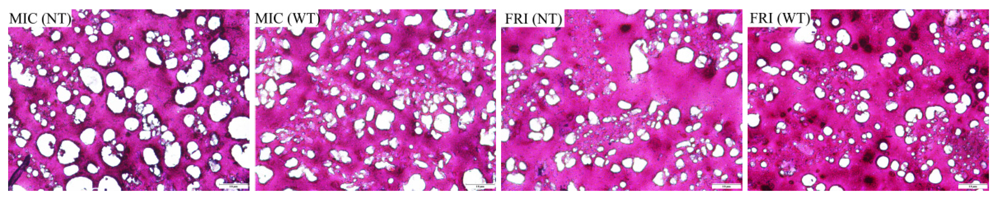 Foods 11 00066 g002b