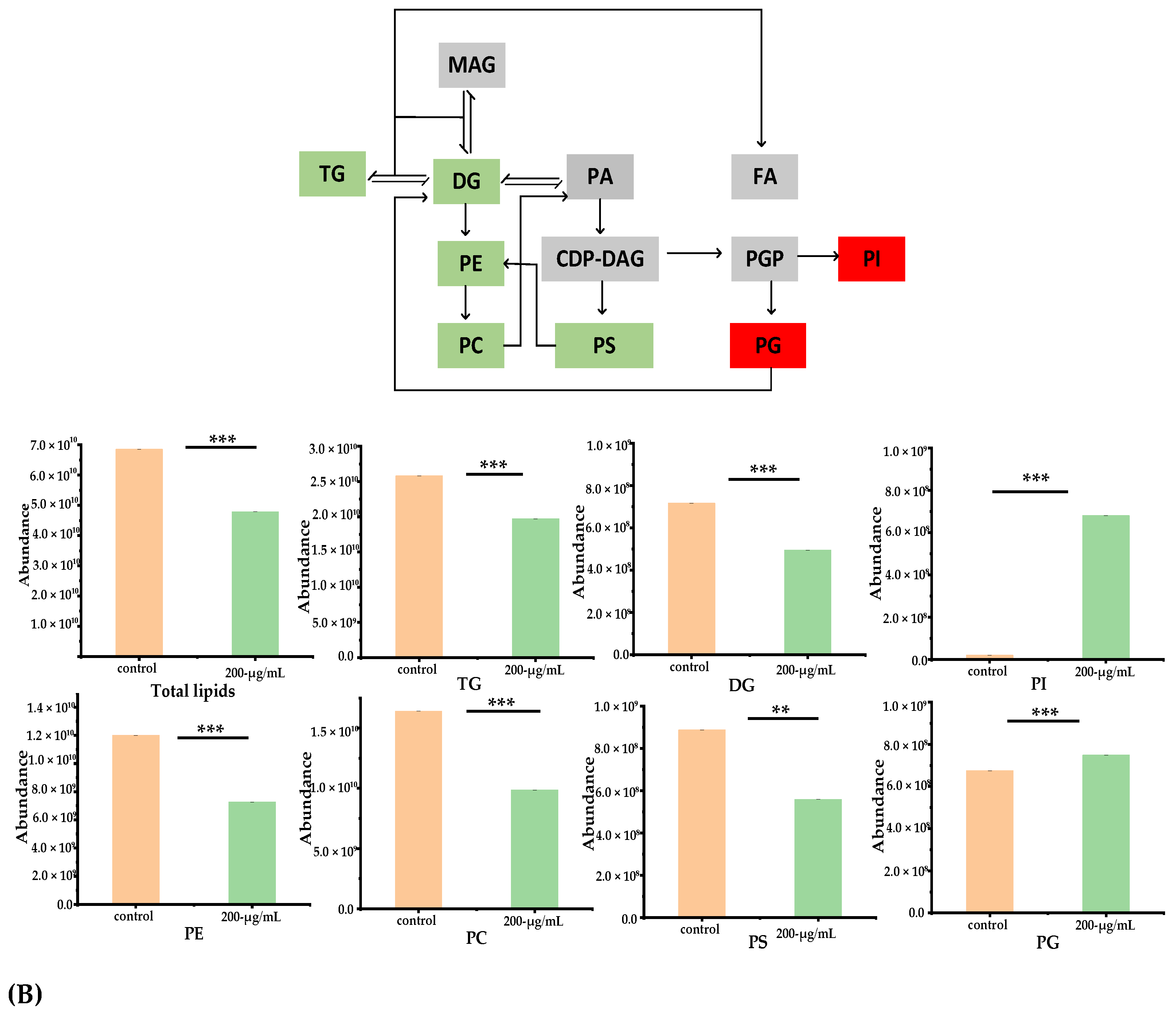 Foods 11 00093 g007b