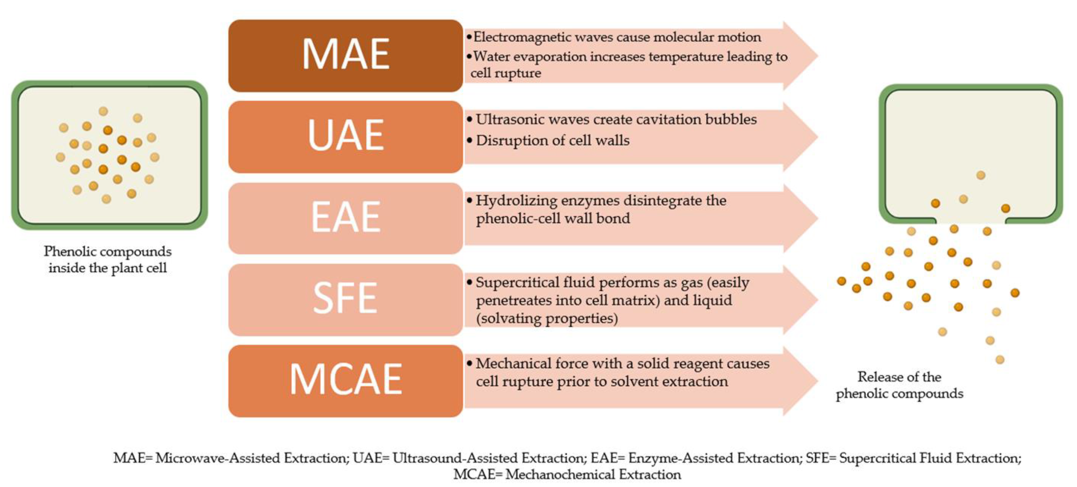 Foods 11 00235 g003 Foods 11 00235 g003