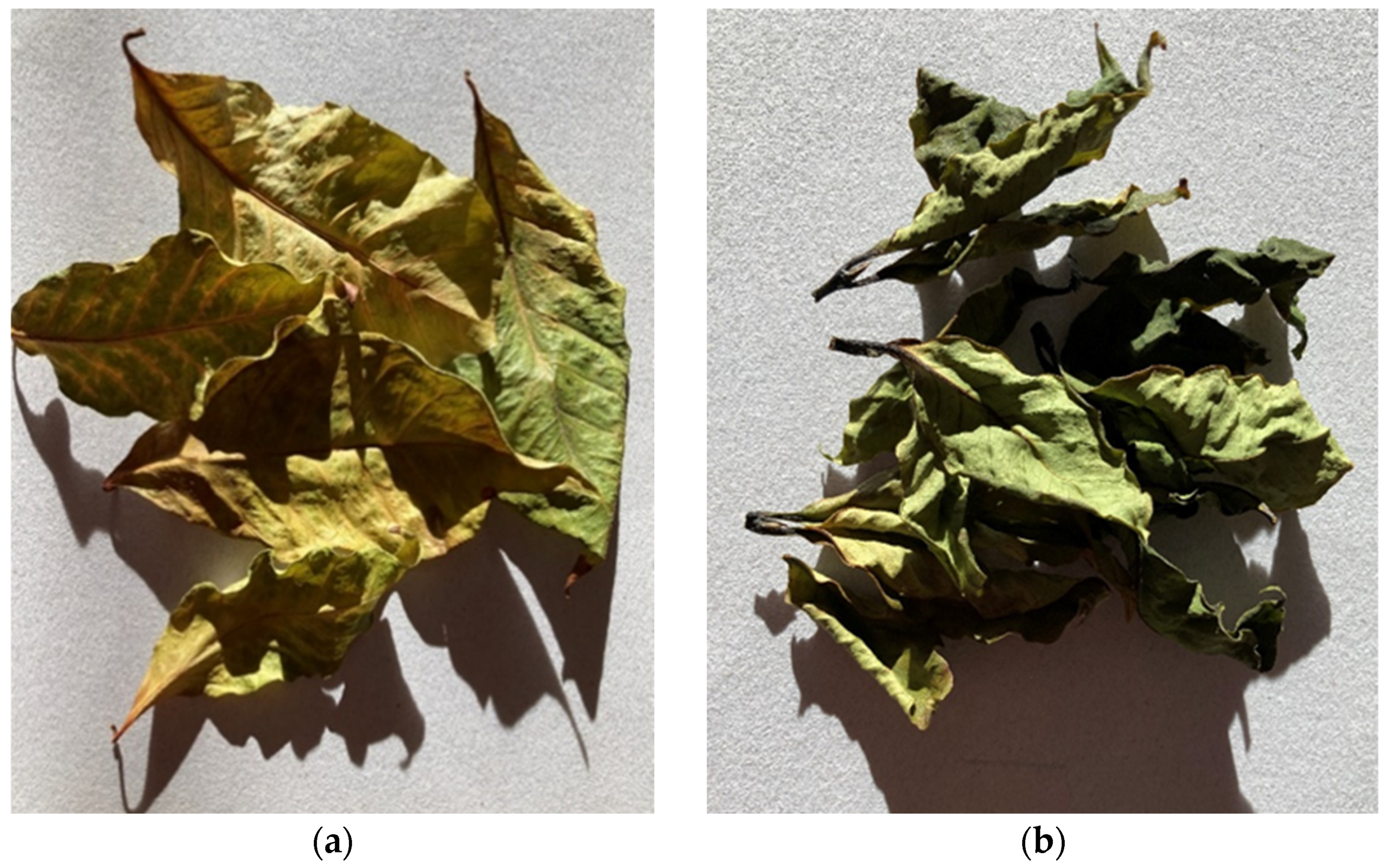 Foods 11 00263 g006a