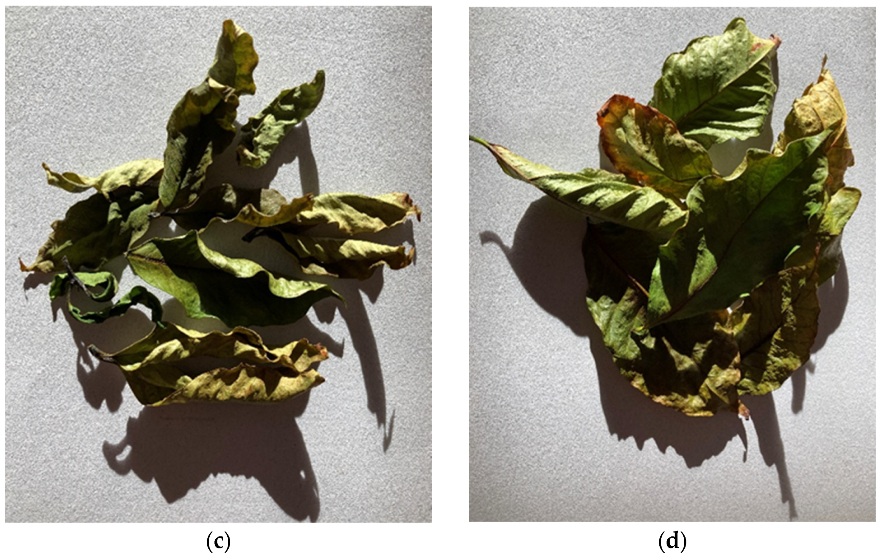 Foods 11 00263 g006b