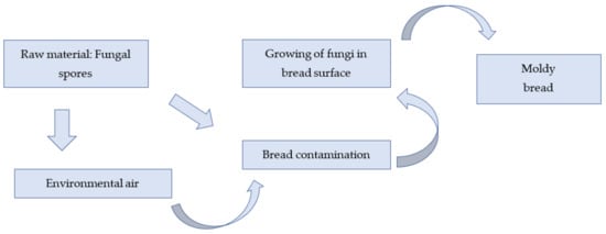 Foods 11 00319 g002 550