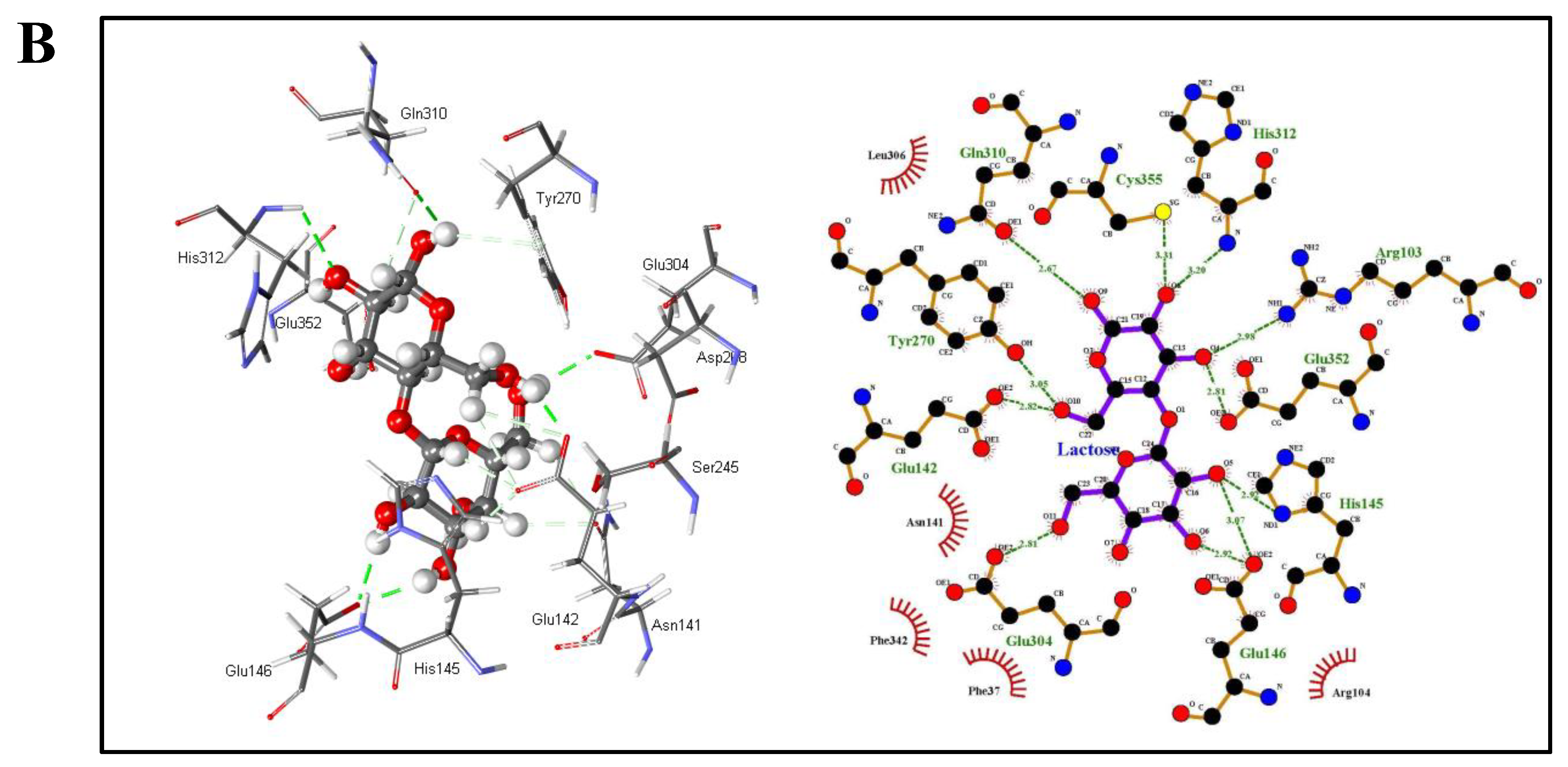 Foods 11 00372 g006b