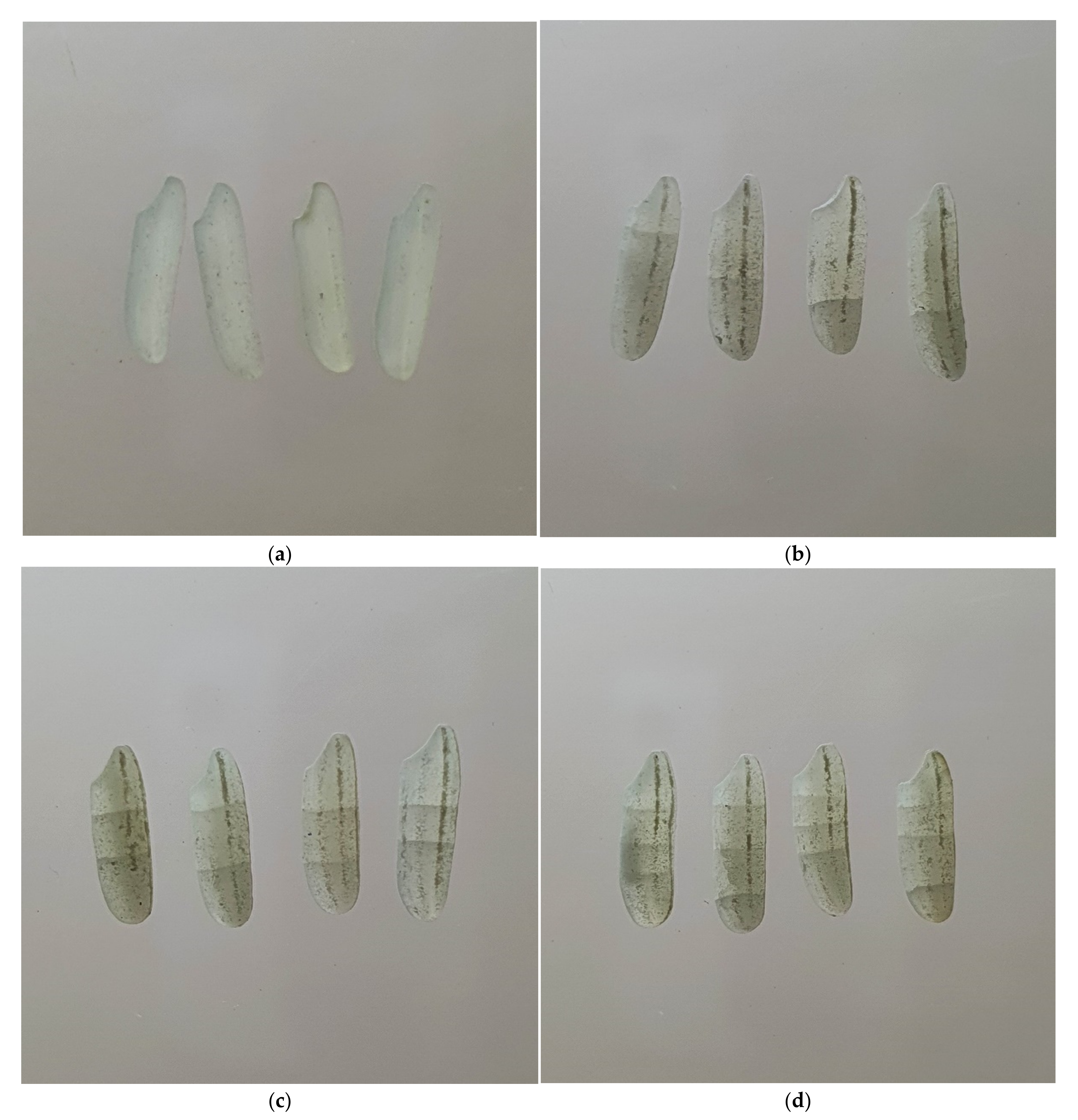 Foods 11 00519 g004a