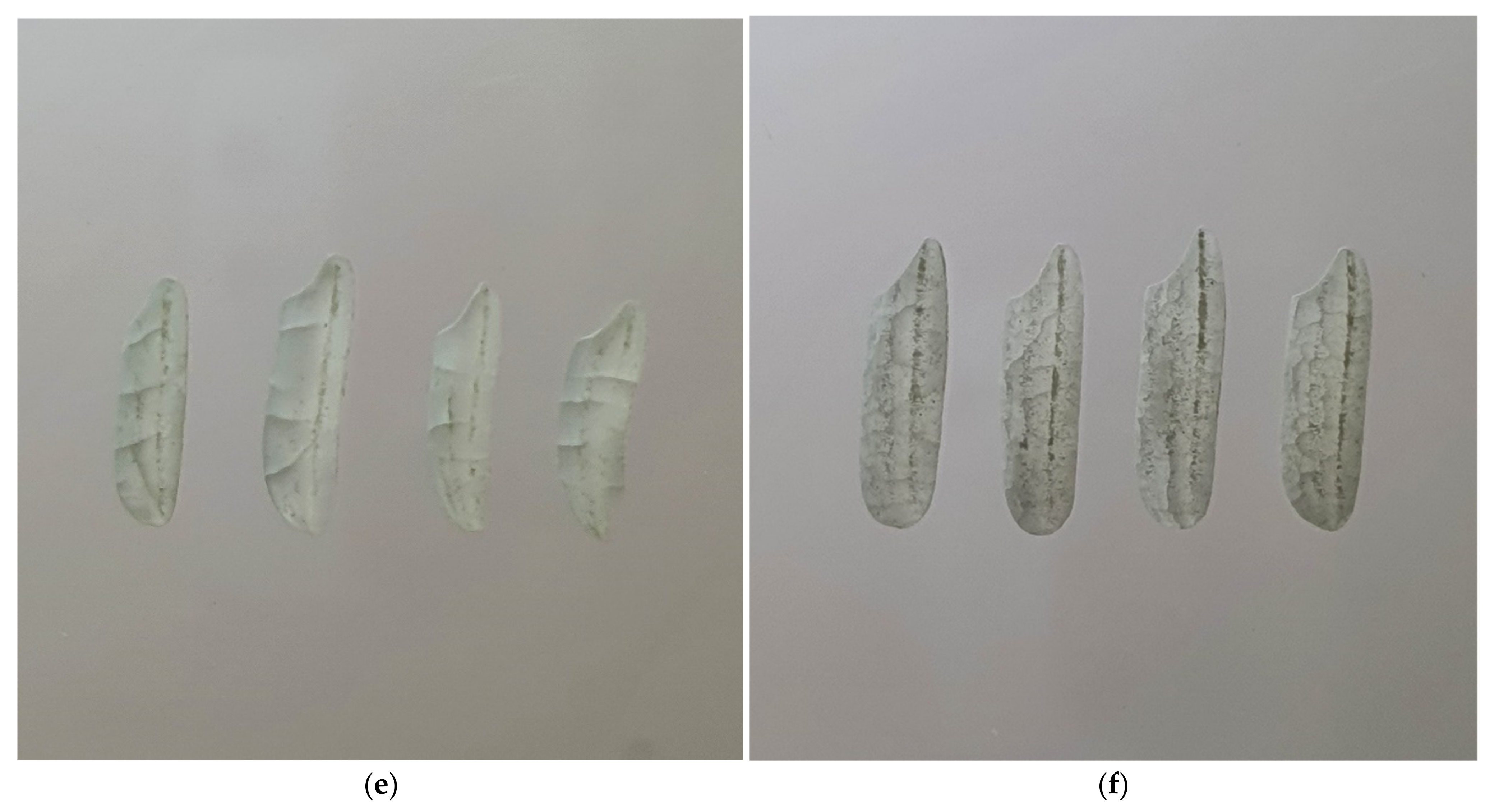 Foods 11 00519 g004b