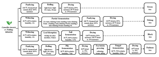 Foods 11 00620 g001 550