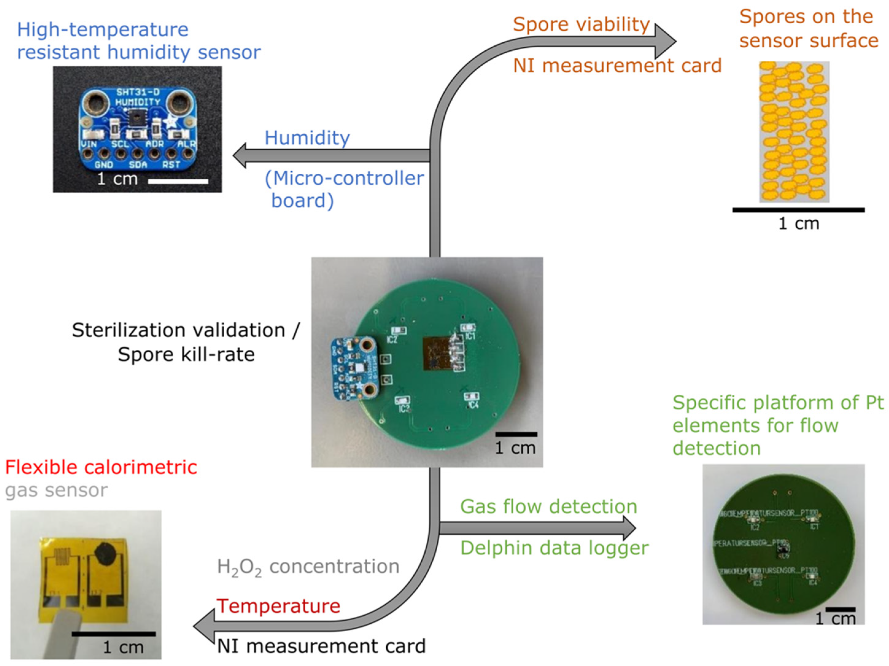 Foods 11 00660 g001 Foods 11 00660 g001