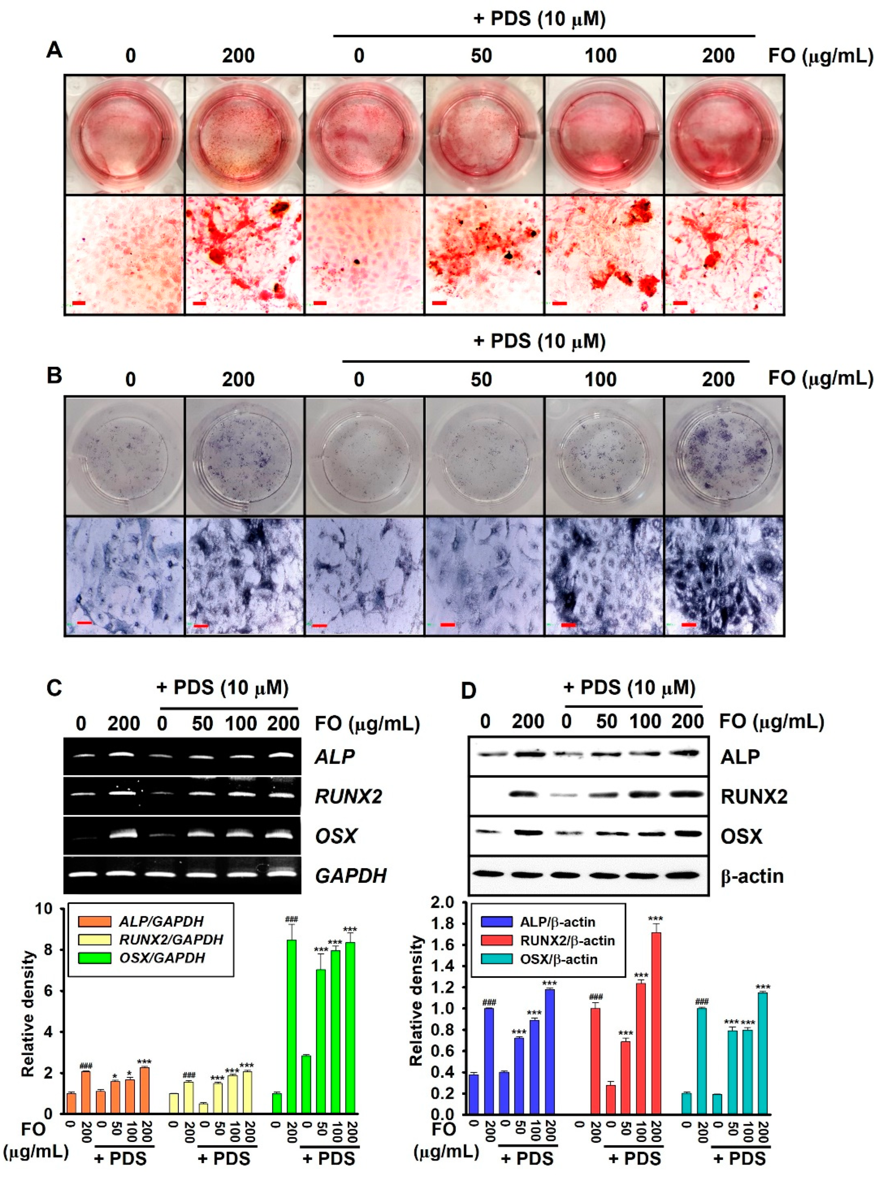 Foods 11 00678 g001 Foods 11 00678 g001