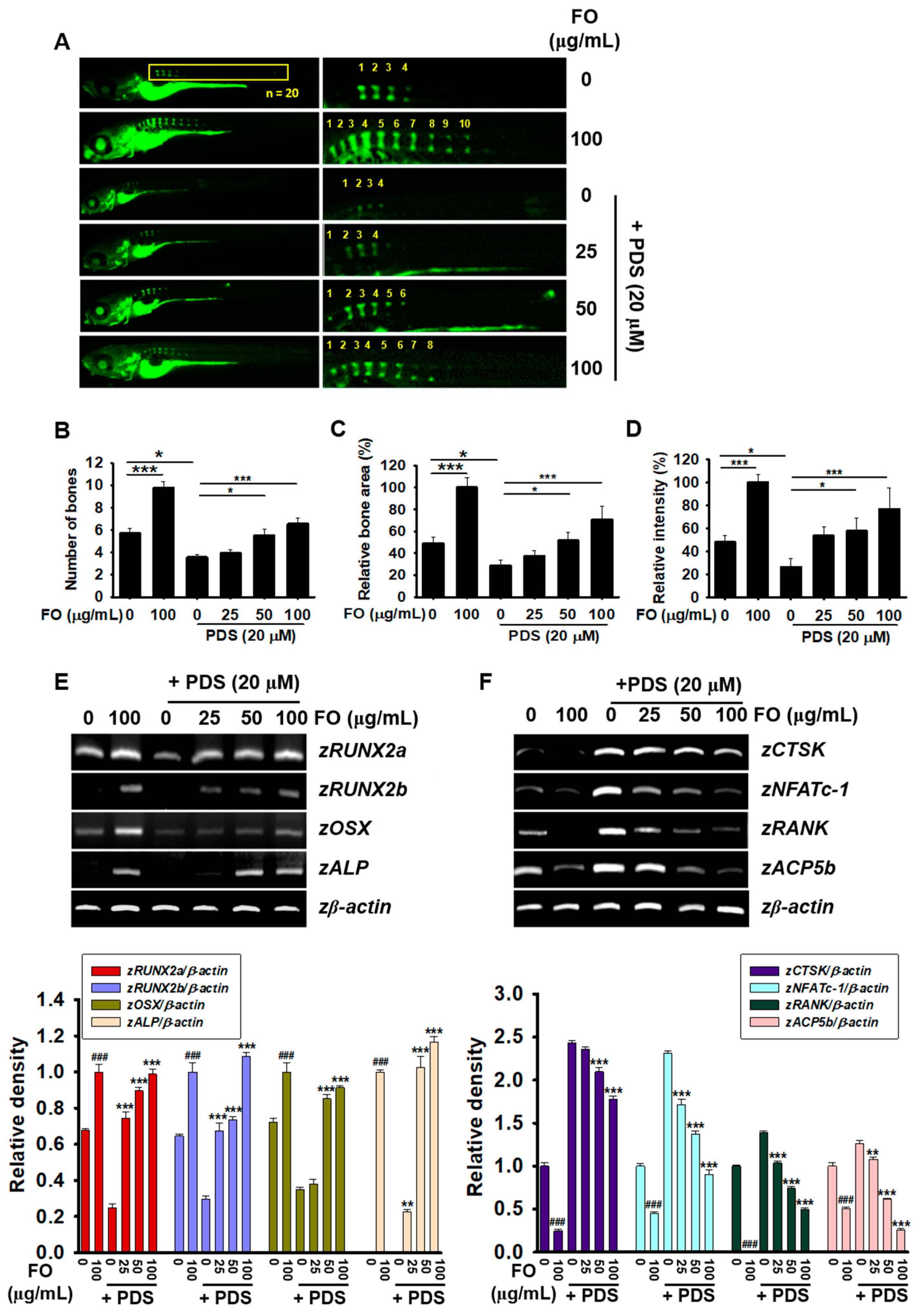 Foods 11 00678 g002 Foods 11 00678 g002