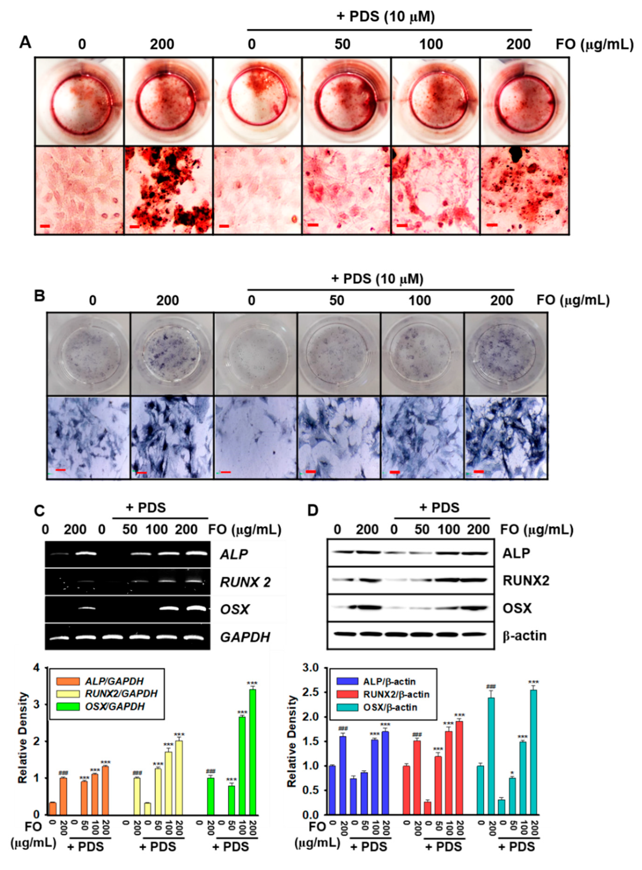 Foods 11 00678 g003 Foods 11 00678 g003