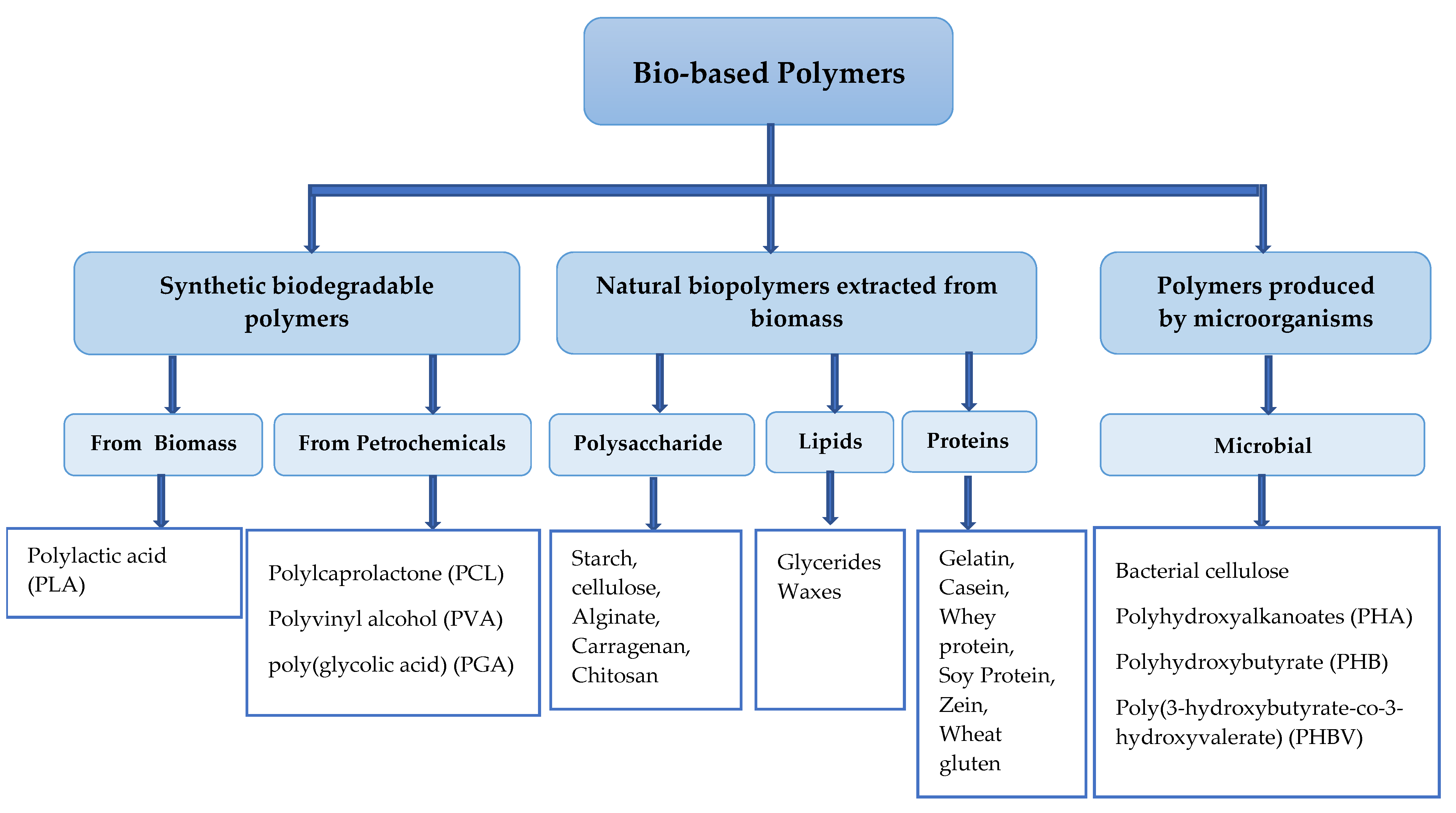 Foods 11 00760 g001 Foods 11 00760 g001