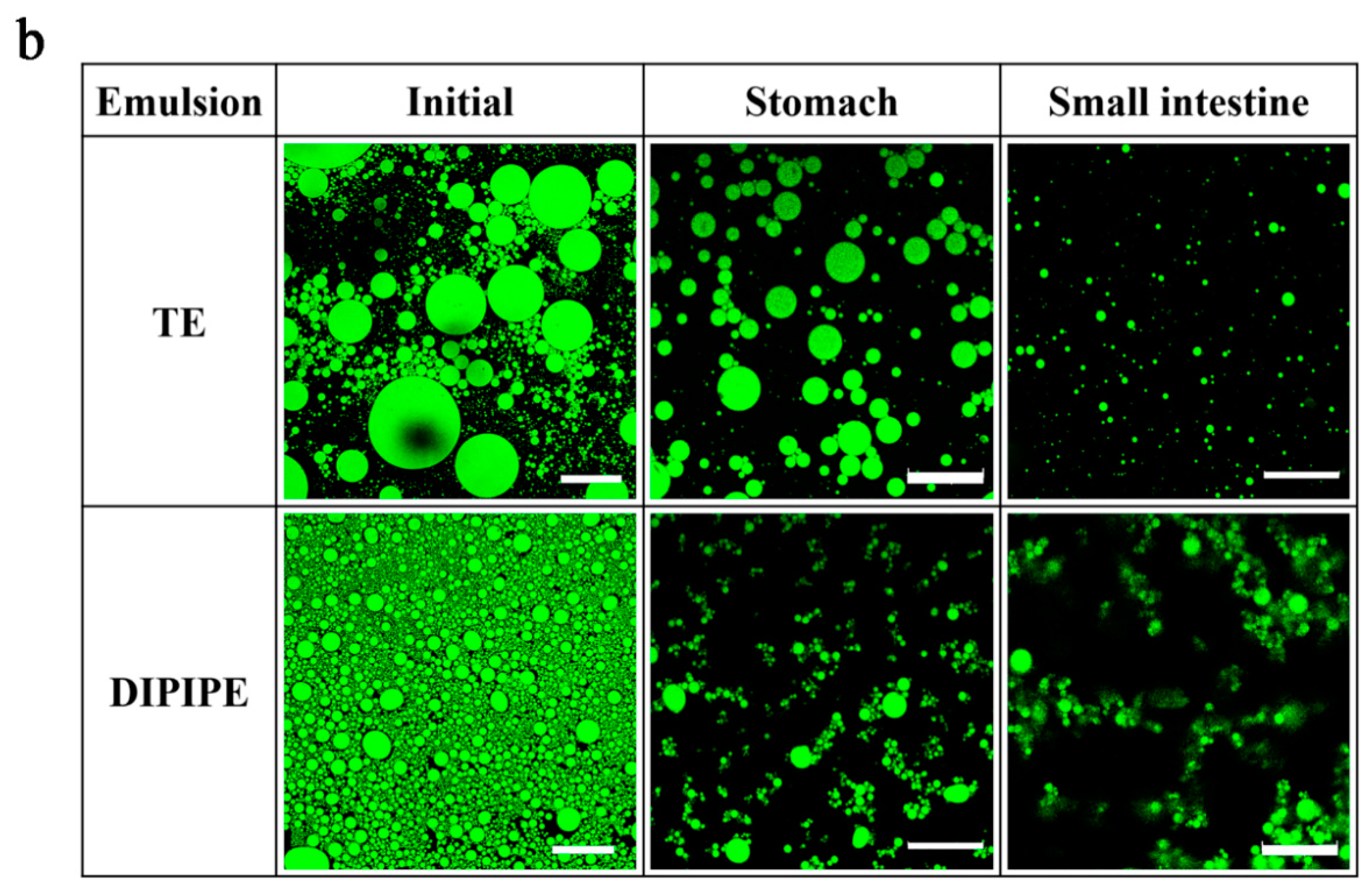 Foods 11 00936 g002b
