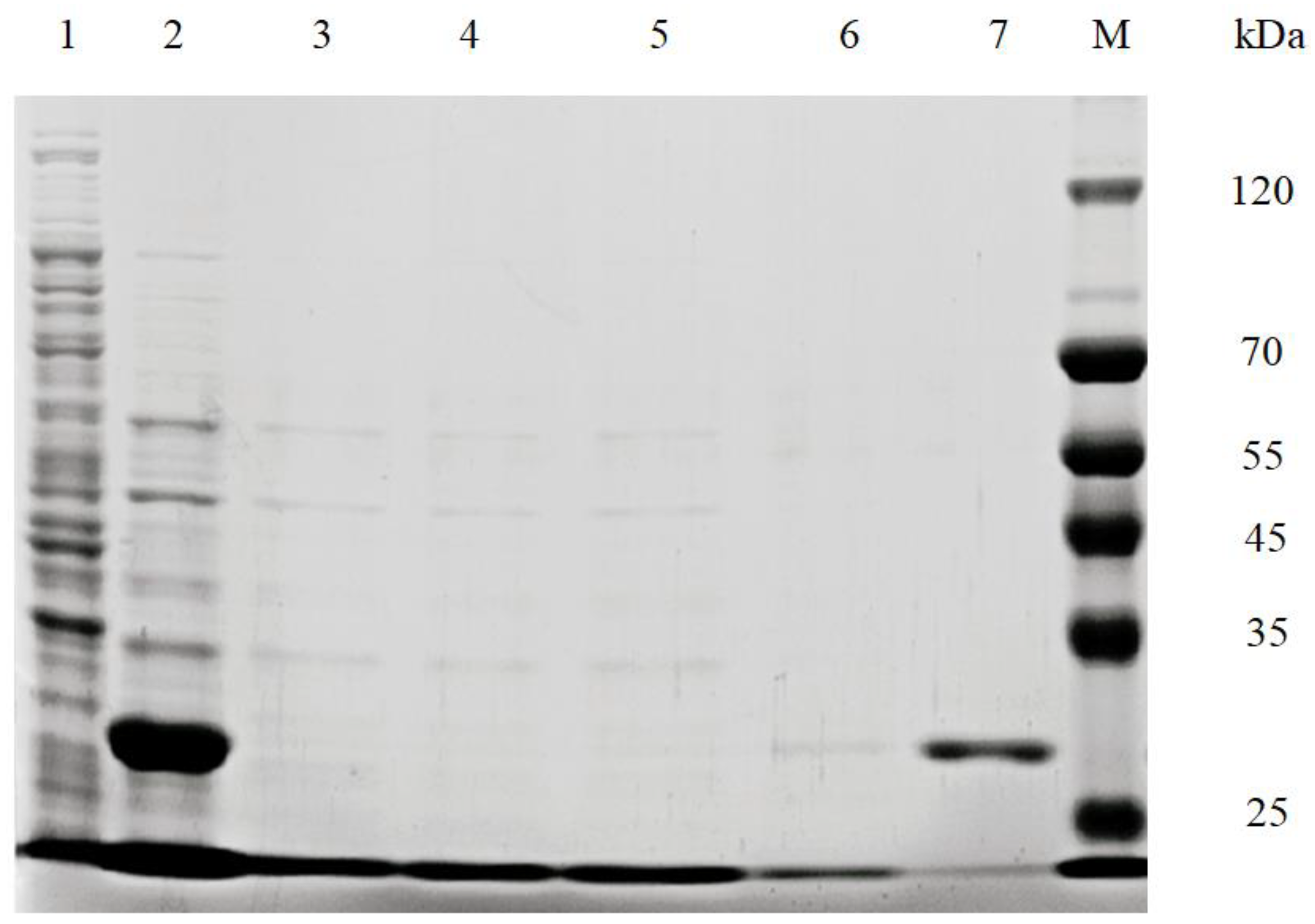 Foods 11 00937 g001 Foods 11 00937 g001