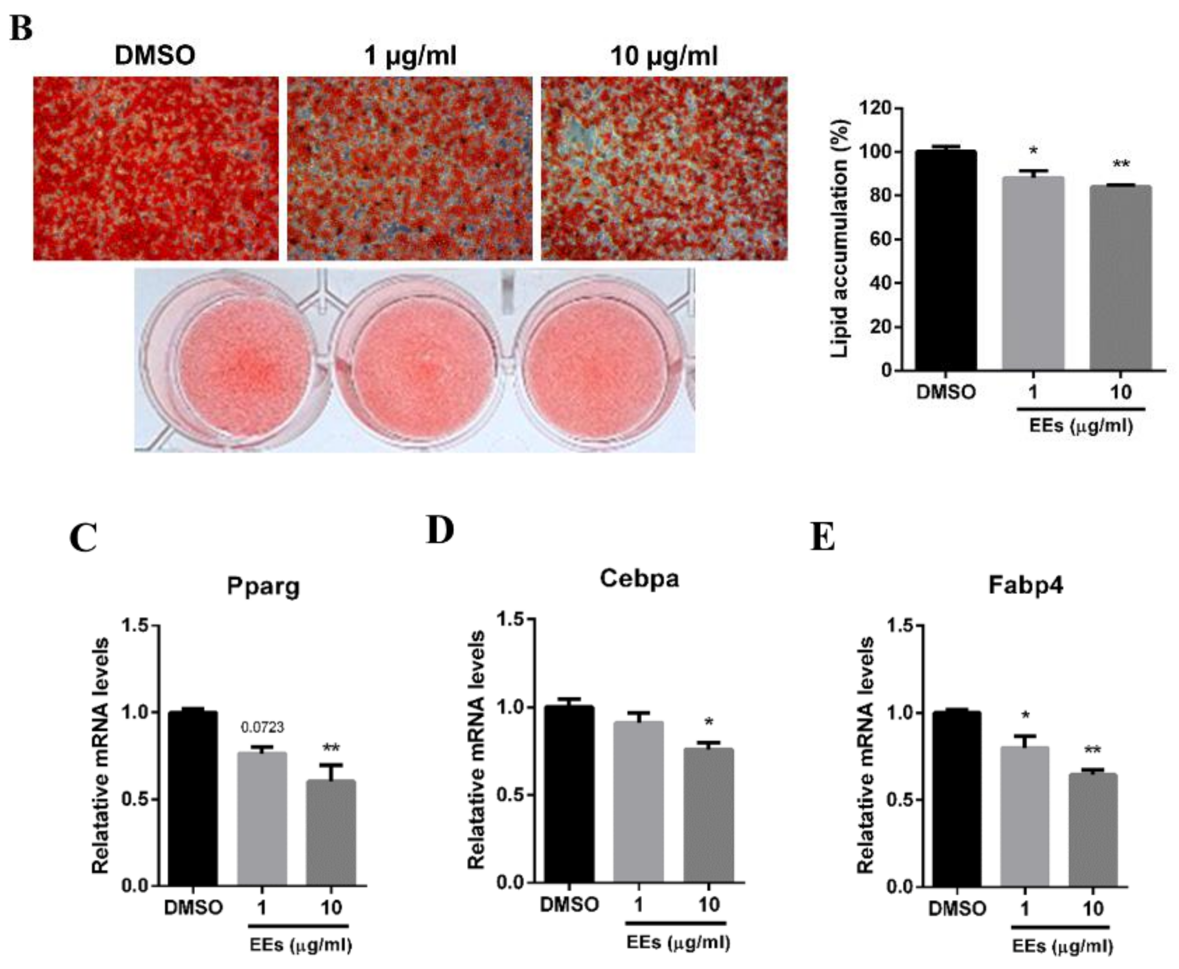 Foods 11 01028 g001b