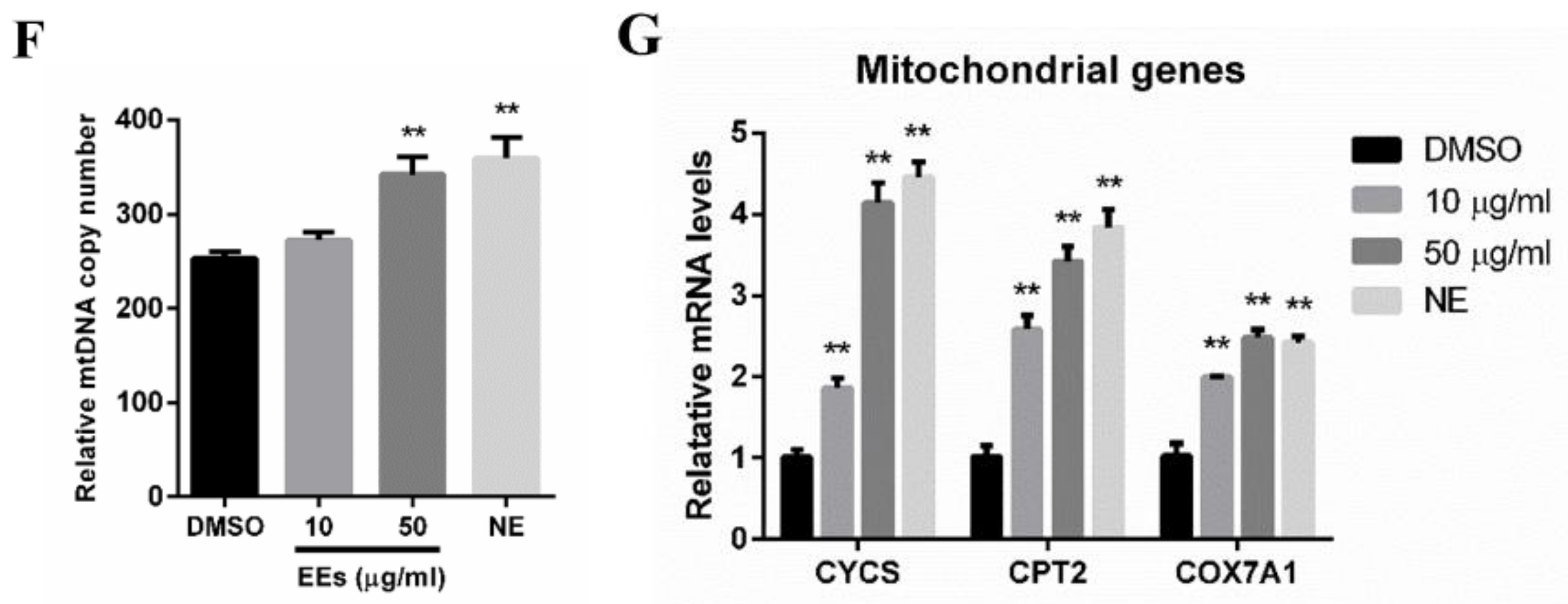 Foods 11 01028 g004b