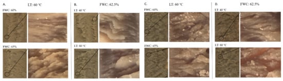 Foods 11 01280 g005 550