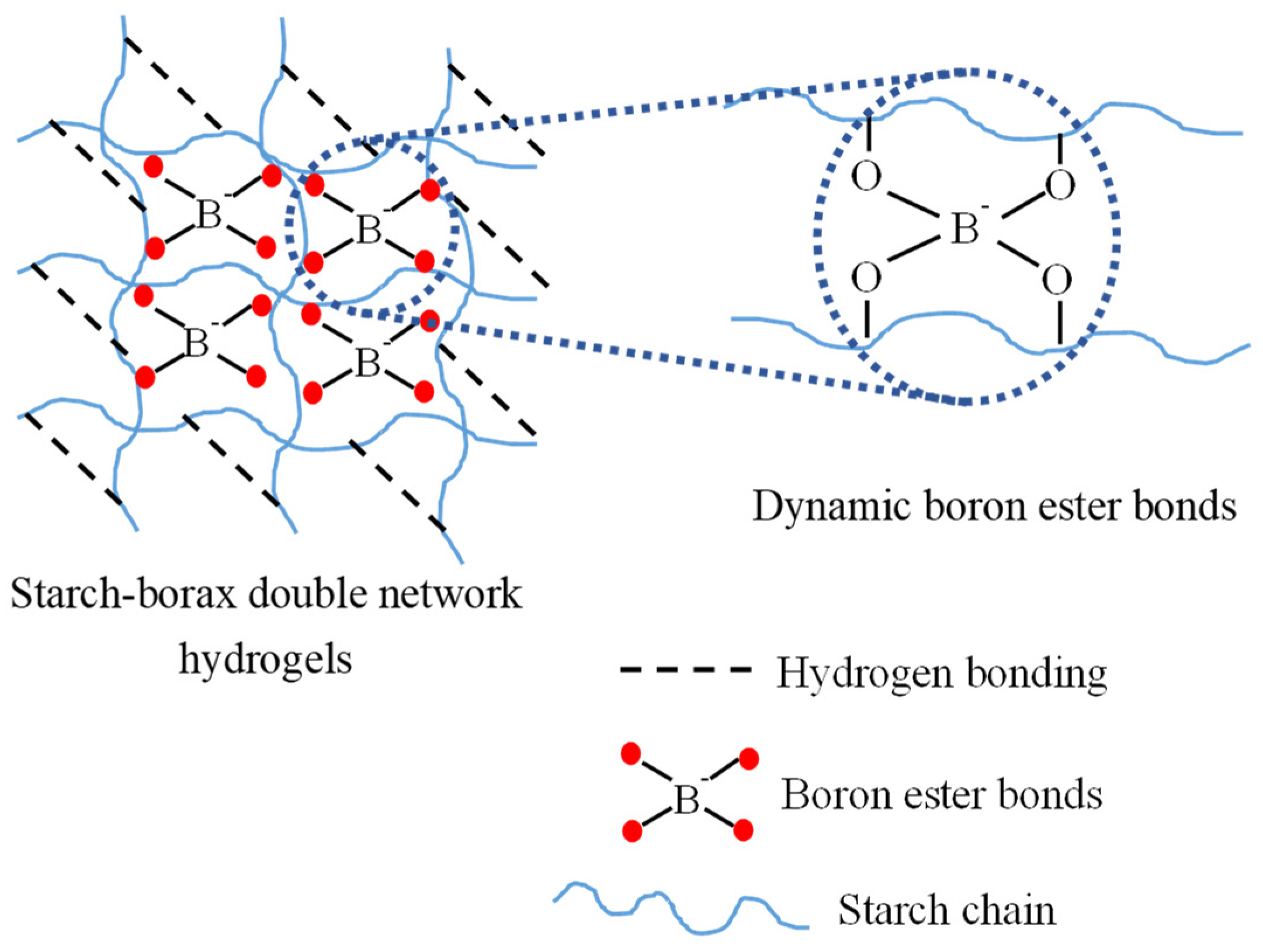 Foods 11 01315 sch001