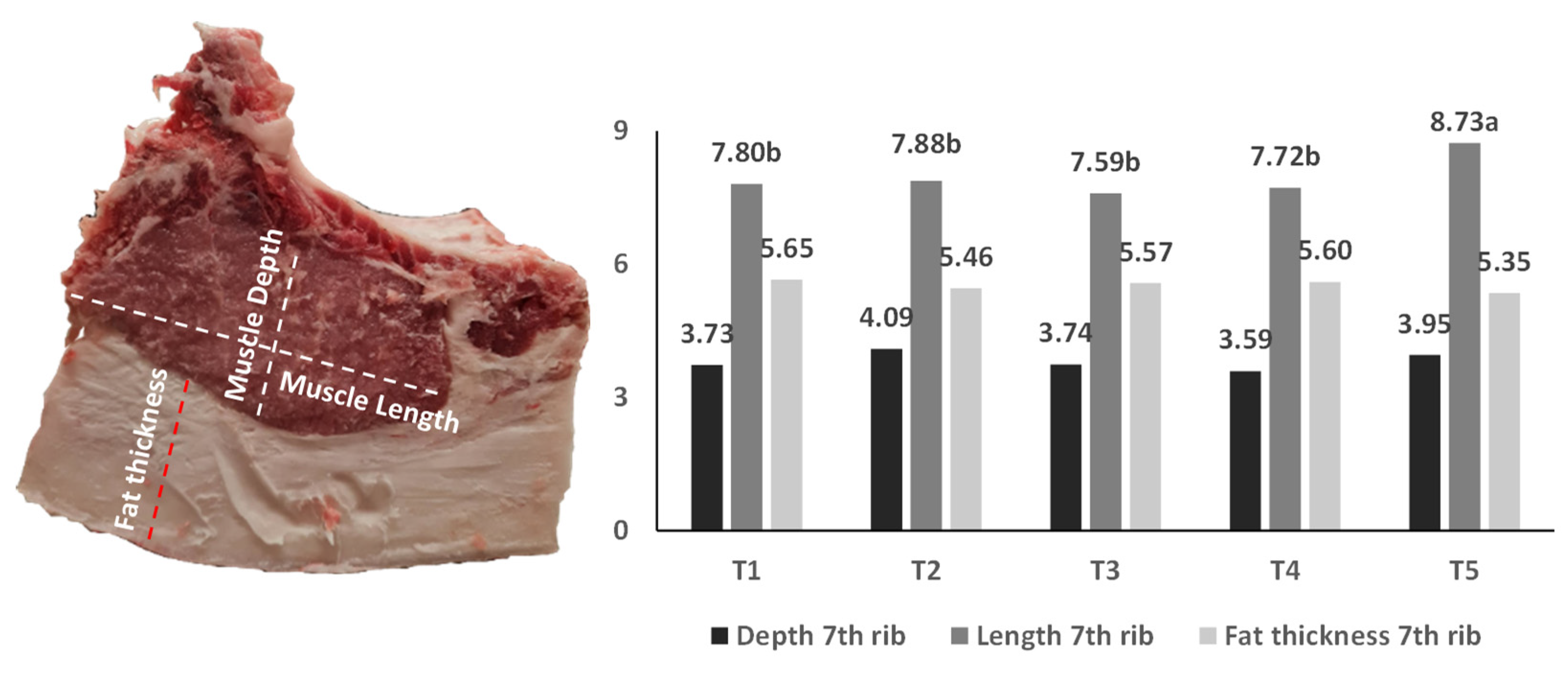 Foods 11 01650 g002