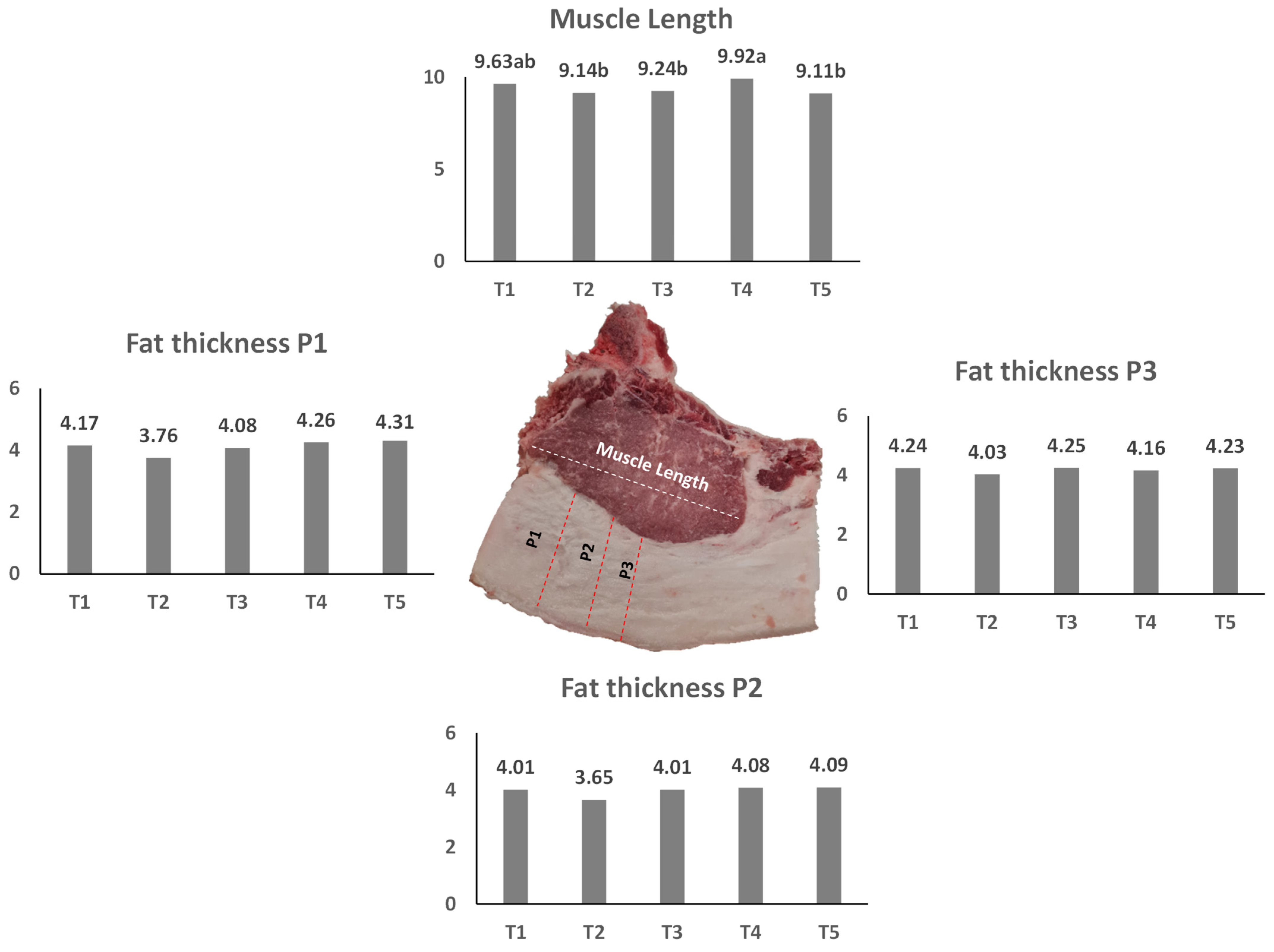 Foods 11 01650 g003