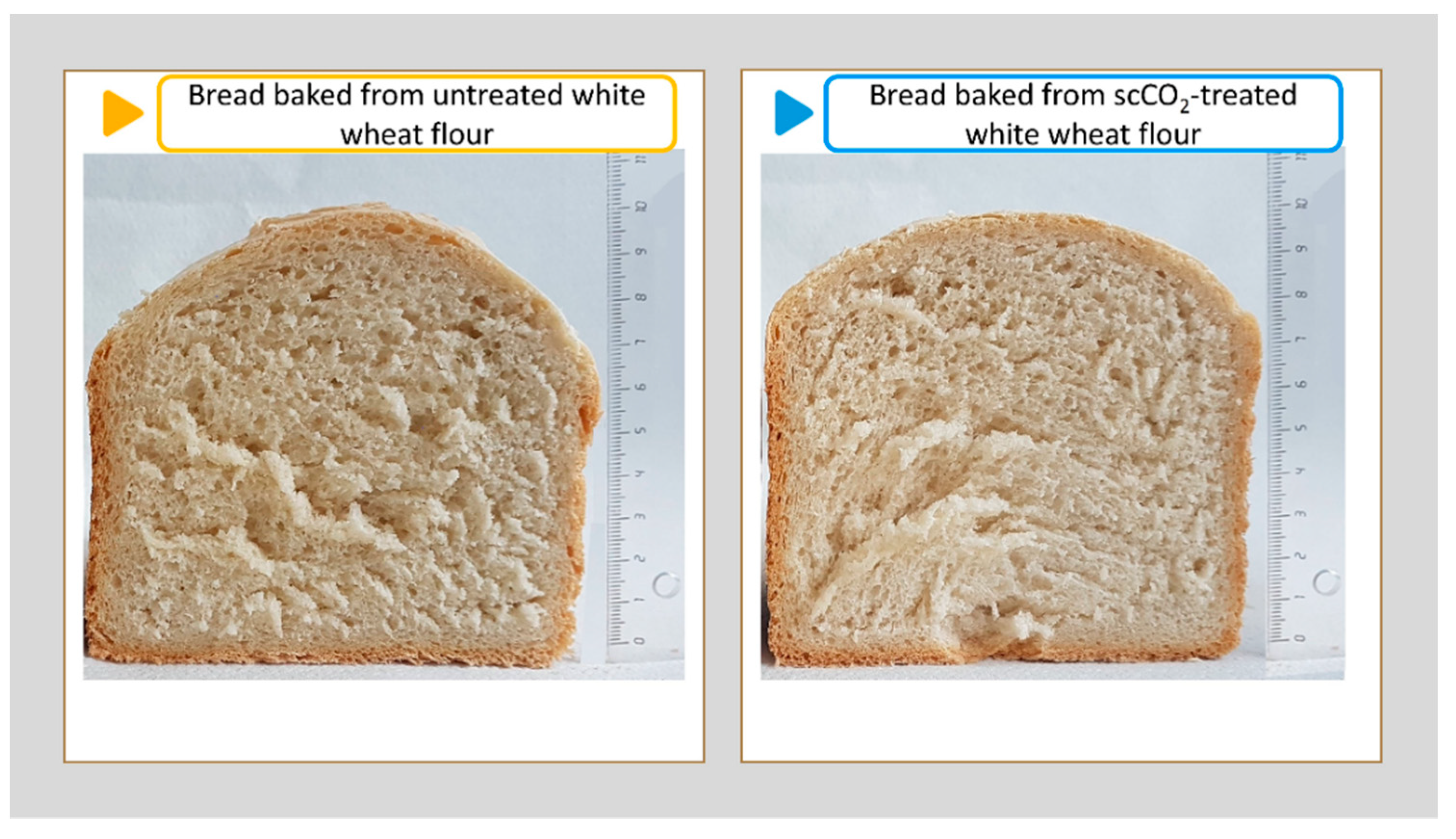Foods 11 01826 g006 Foods 11 01826 g006