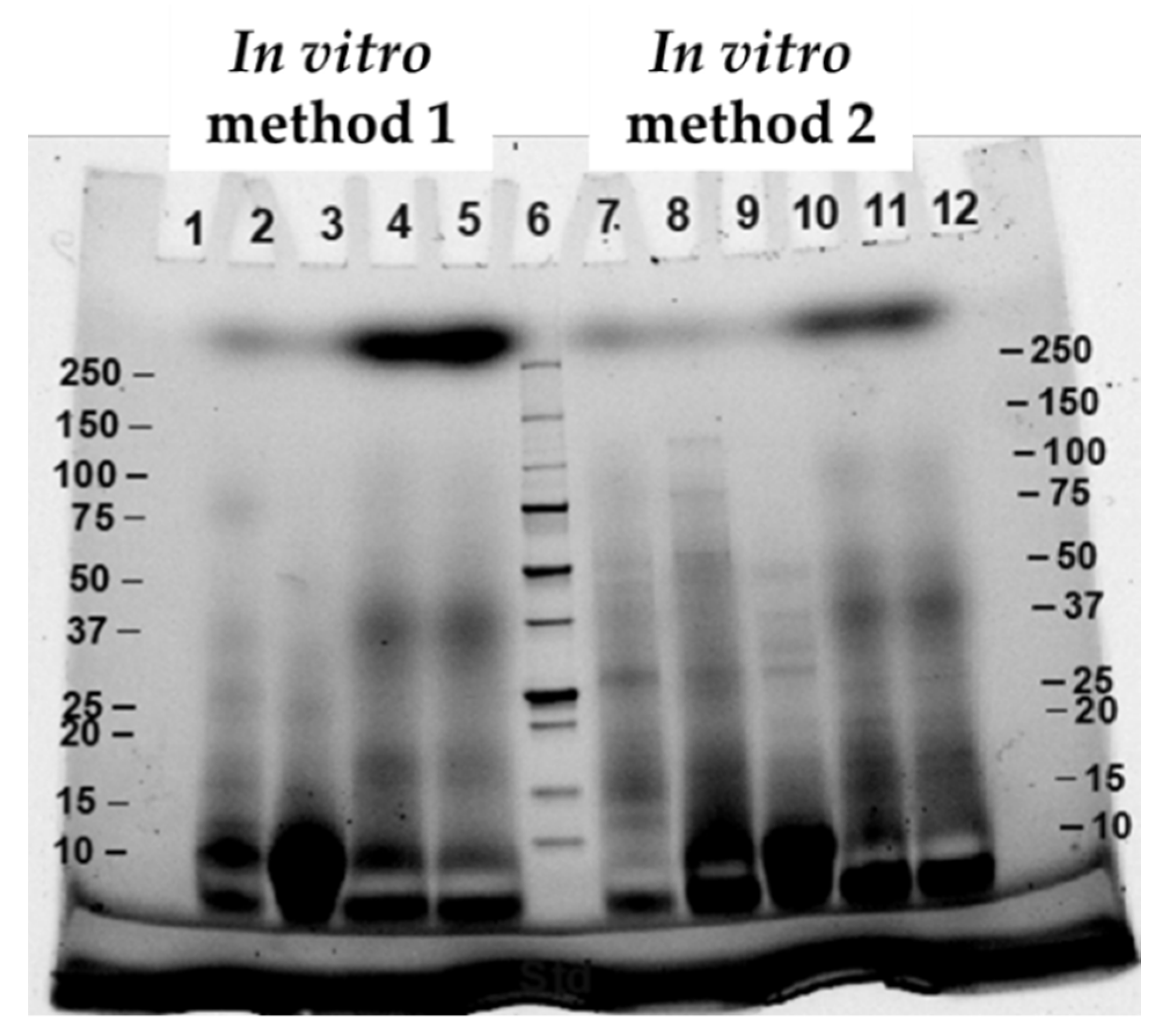Foods 11 01853 g003 Foods 11 01853 g003