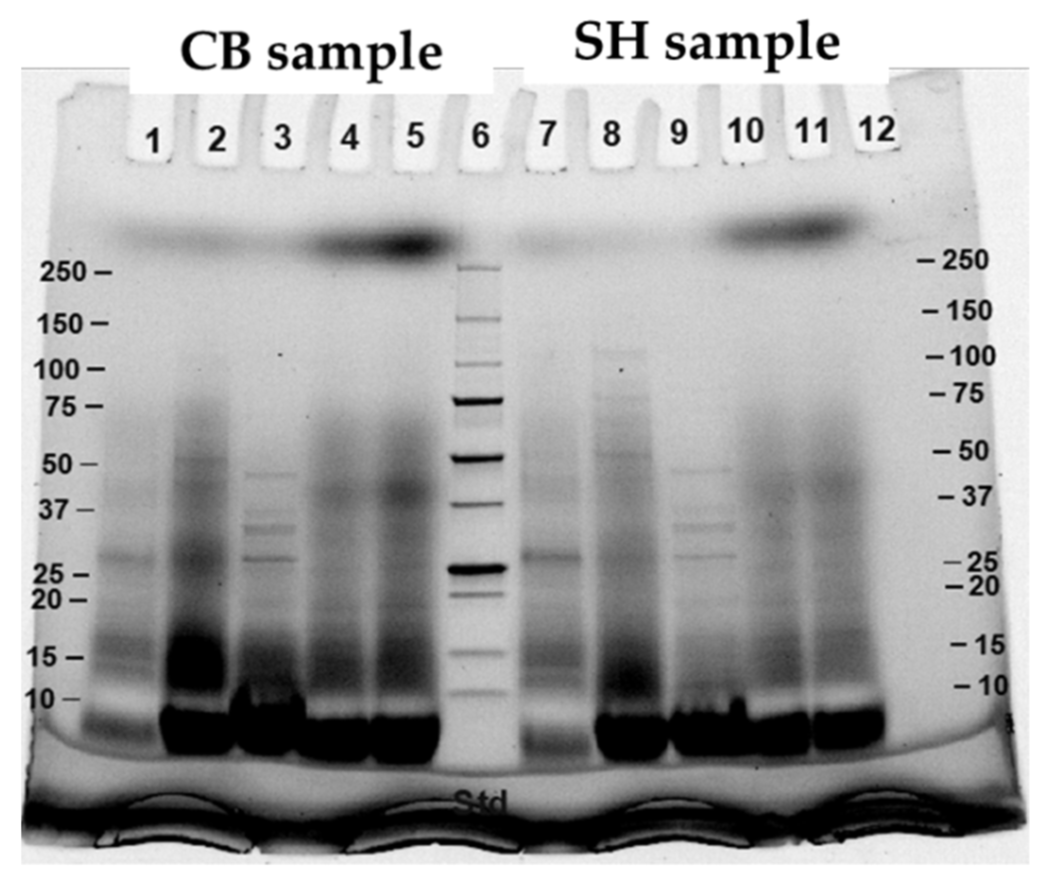 Foods 11 01853 g006 Foods 11 01853 g006
