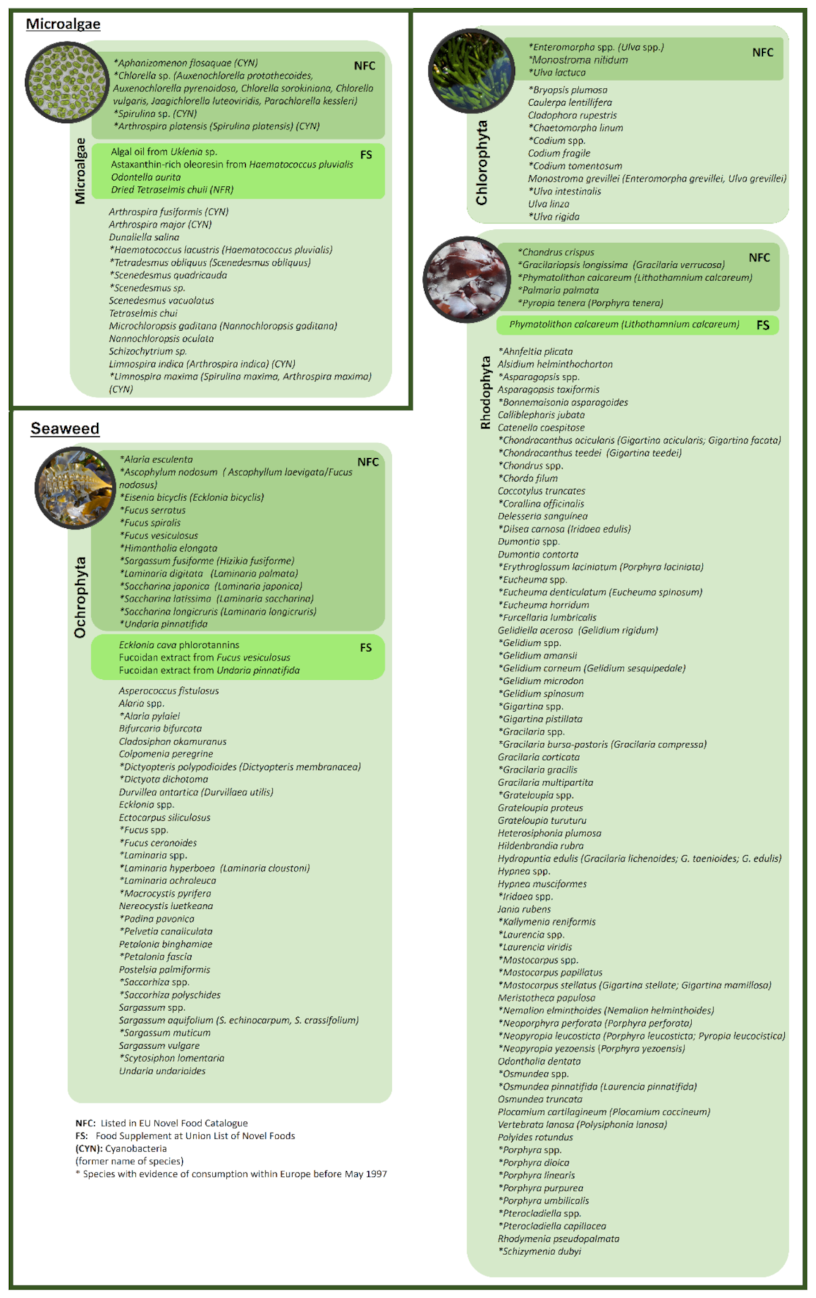 Foods 11 01871 g003 Foods 11 01871 g003