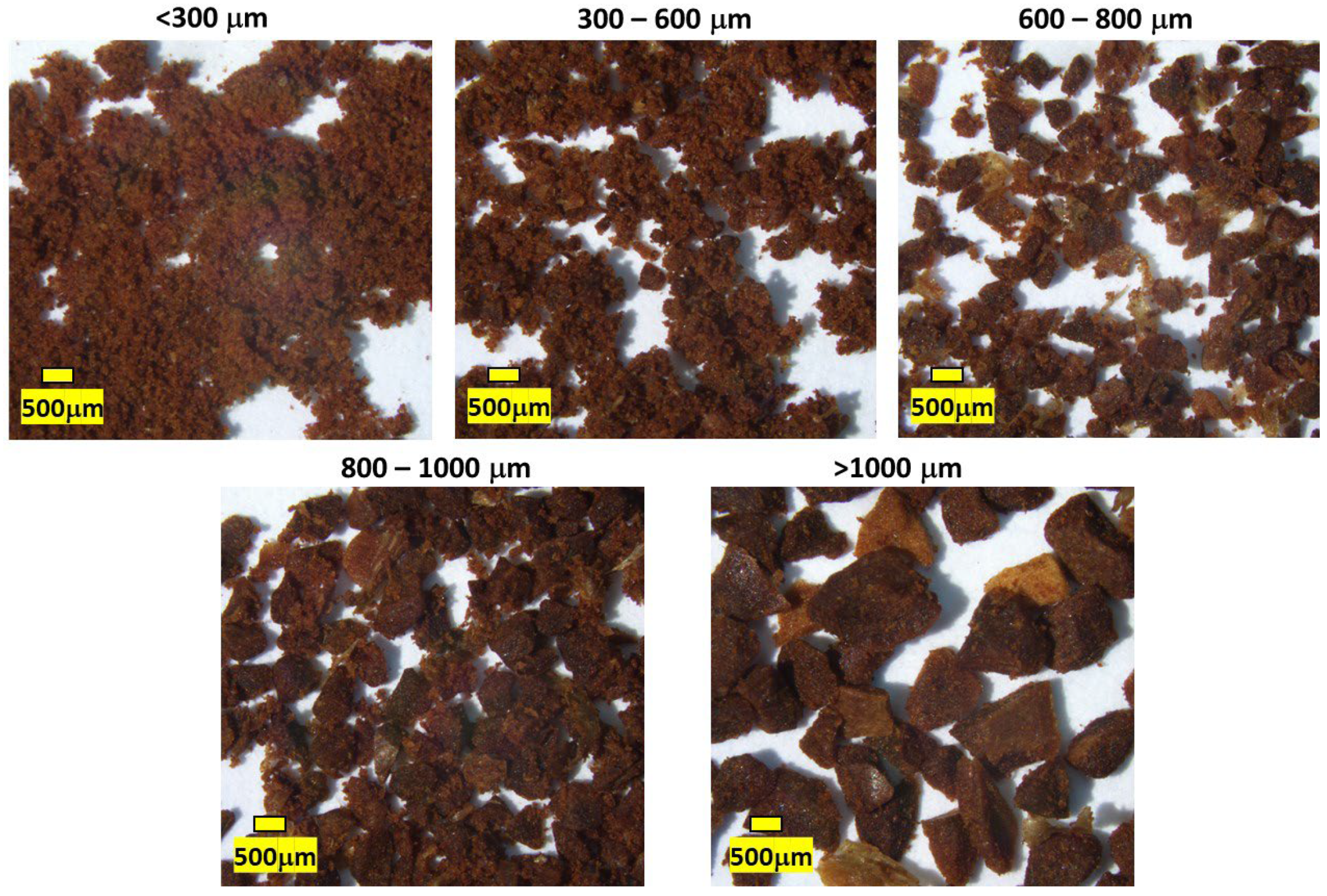 Foods 11 01907 g004 Foods 11 01907 g004