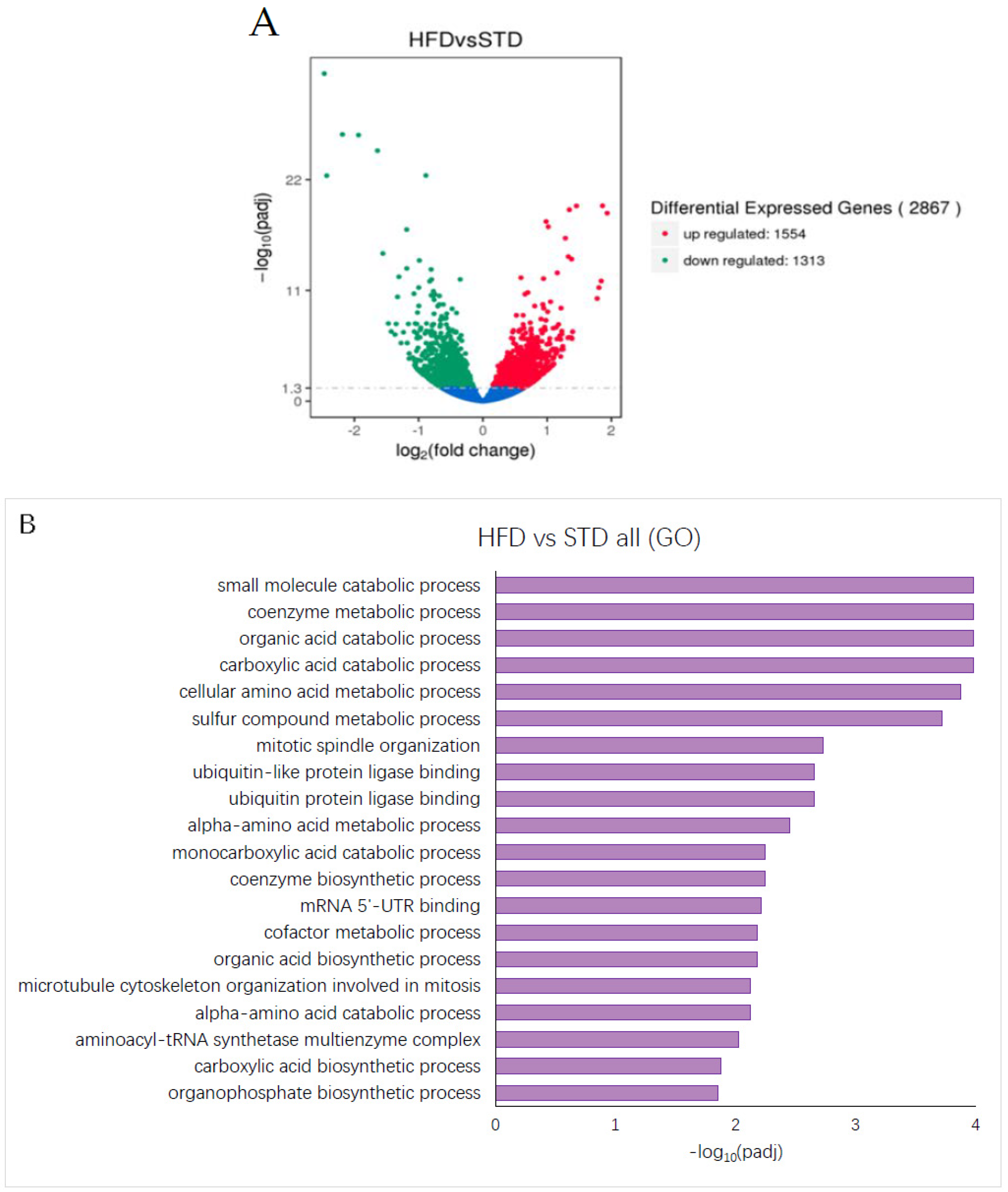 Foods 11 01984 g005 Foods 11 01984 g005
