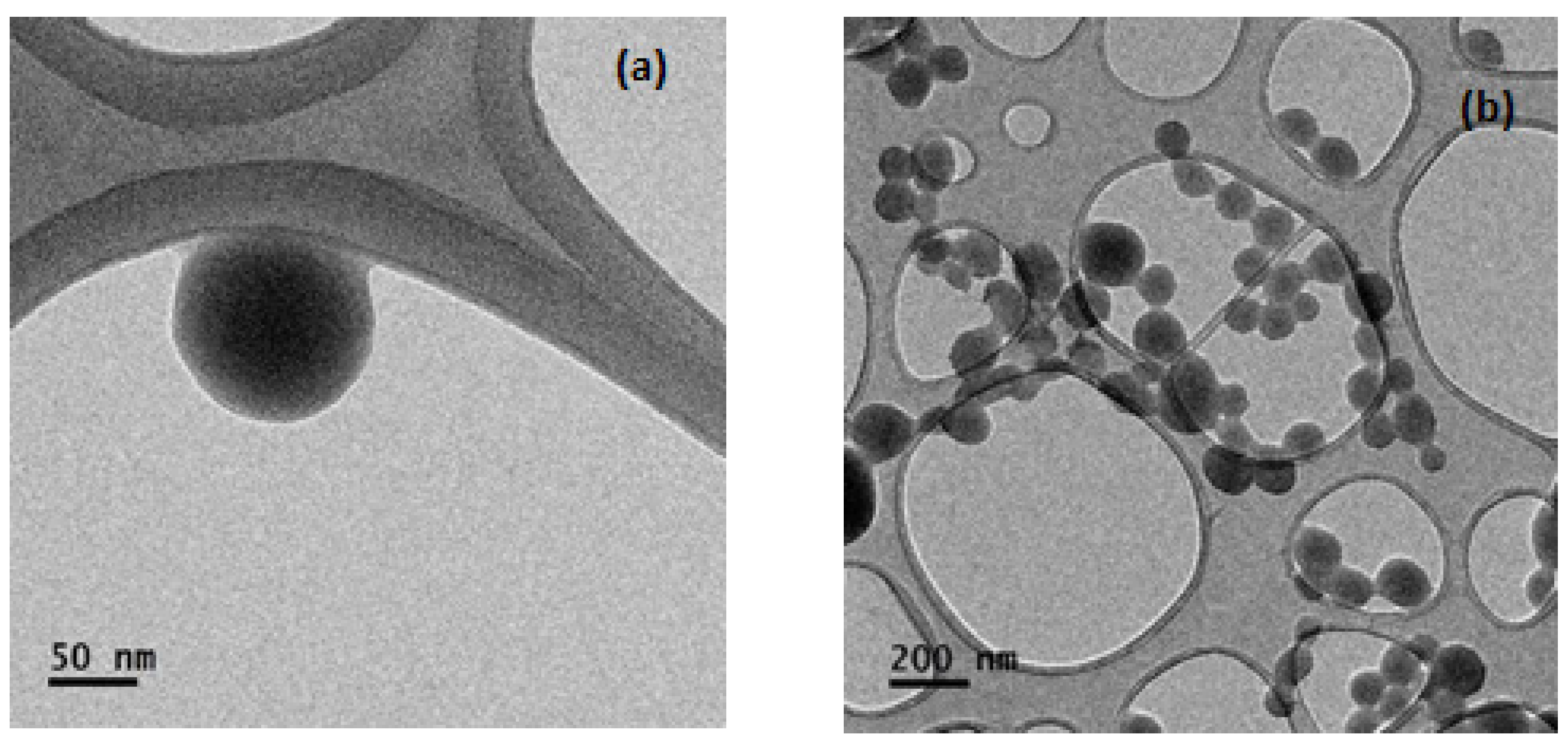 Foods 11 01998 g001 Foods 11 01998 g001