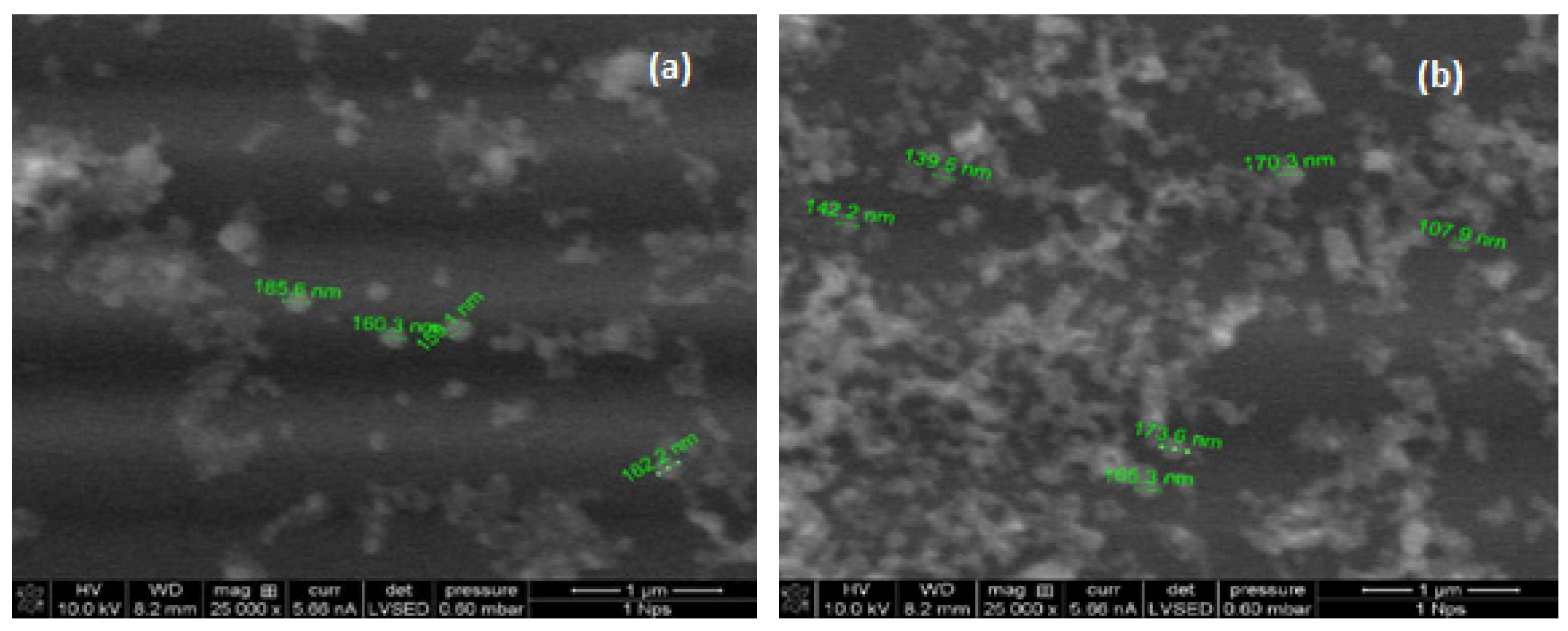 Foods 11 01998 g002 Foods 11 01998 g002