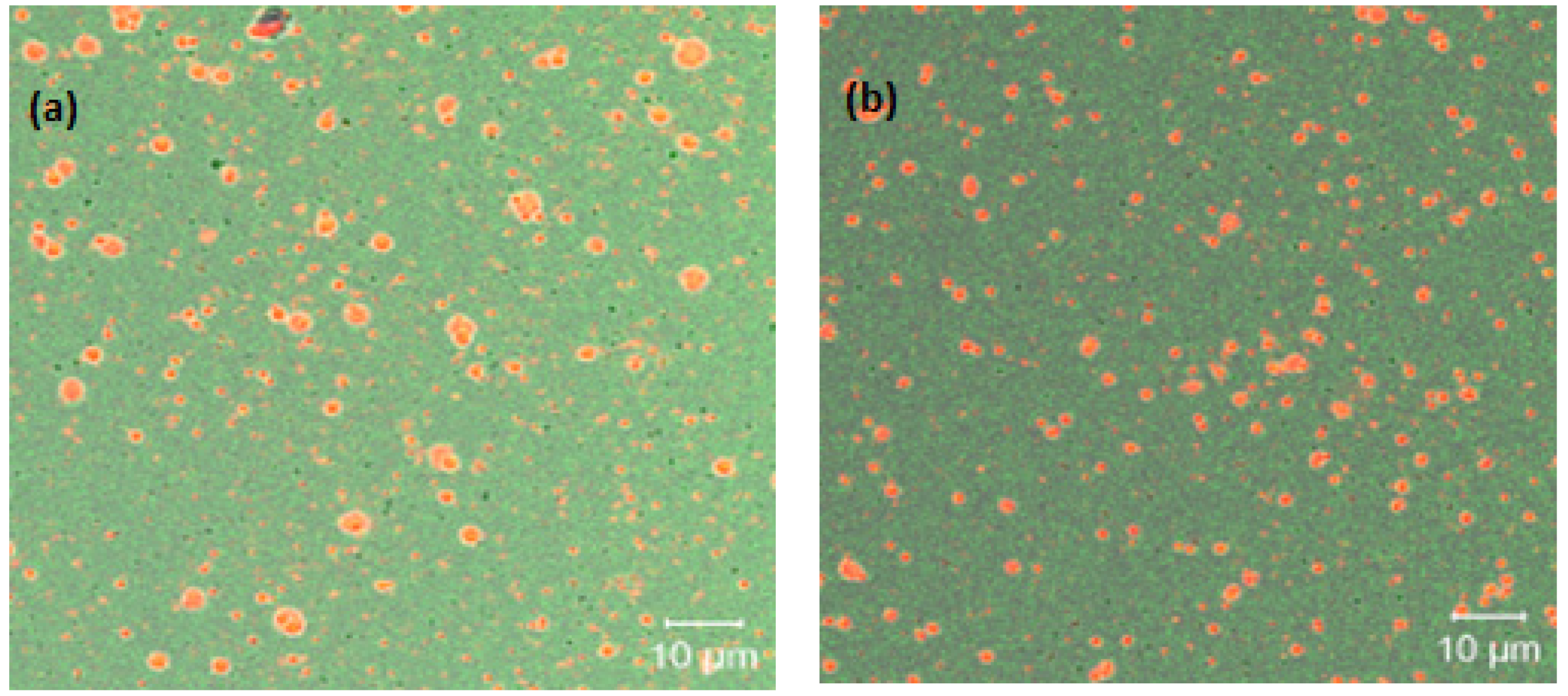 Foods 11 01998 g004 Foods 11 01998 g004