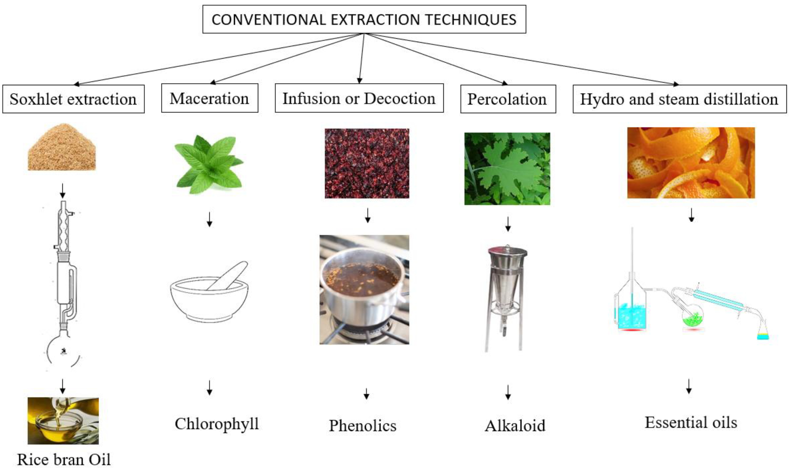 Foods 11 02035 g005
