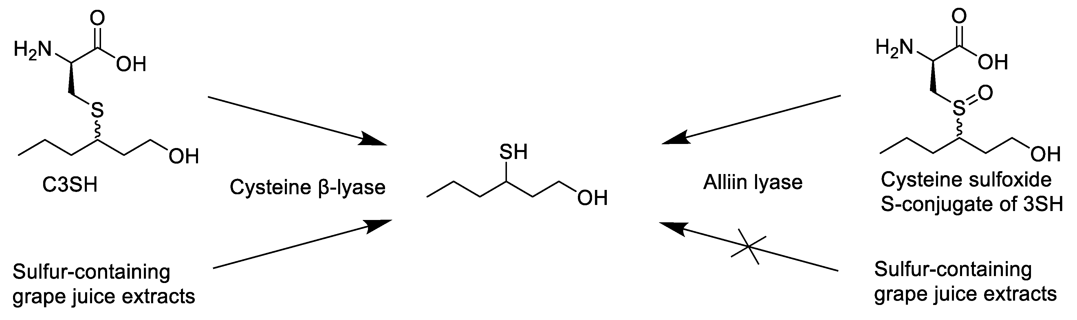 Foods 11 02050 sch001