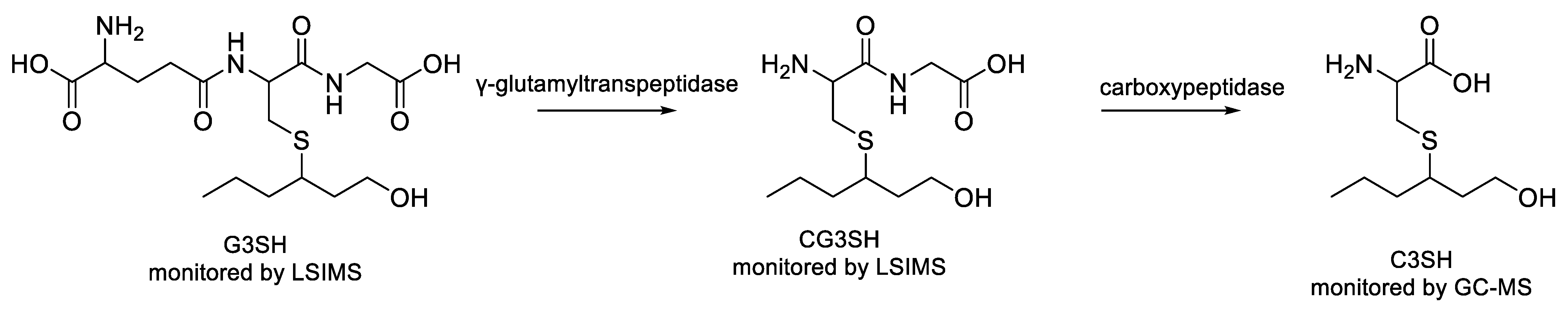Foods 11 02050 sch002