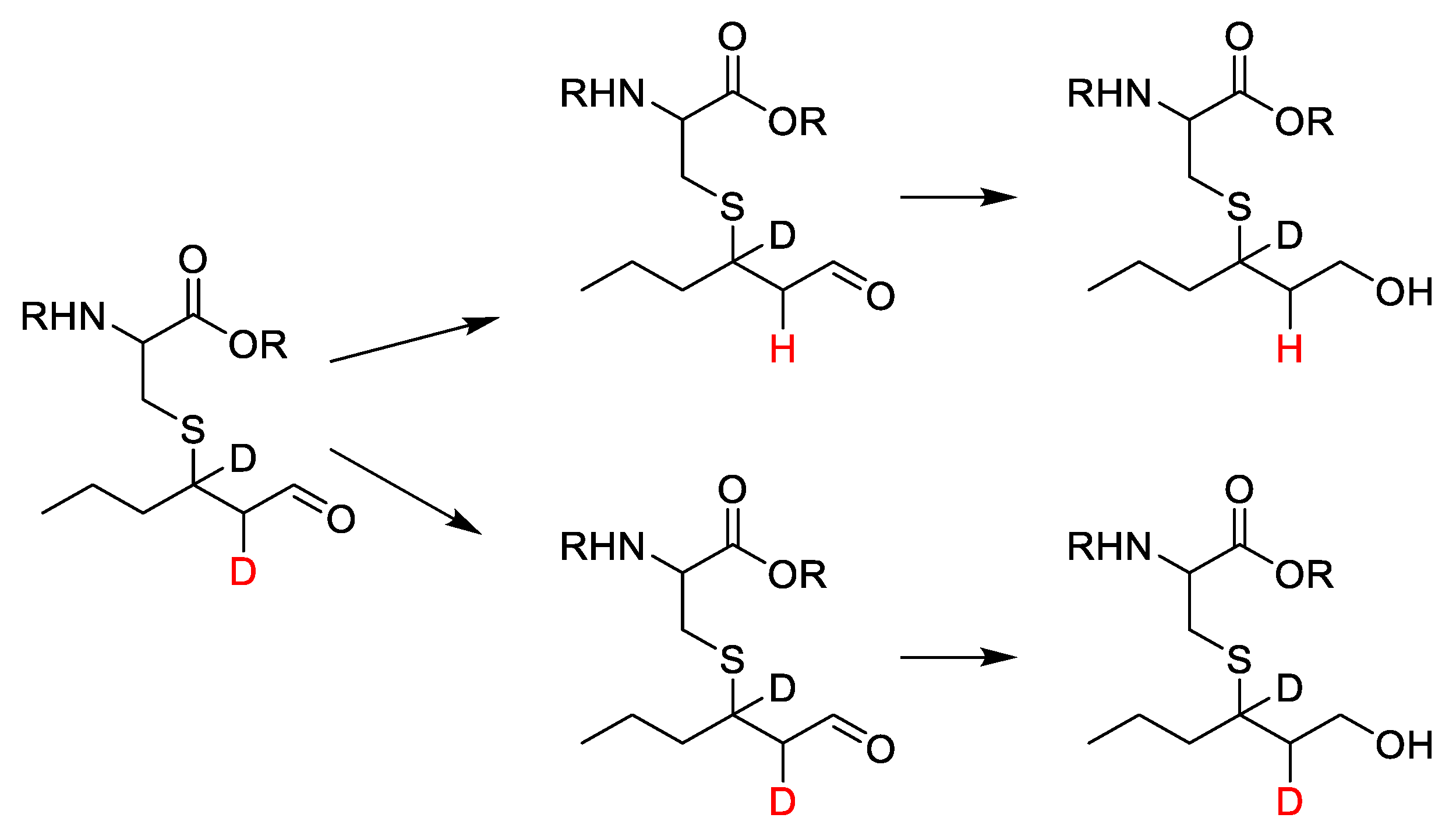 Foods 11 02050 sch005