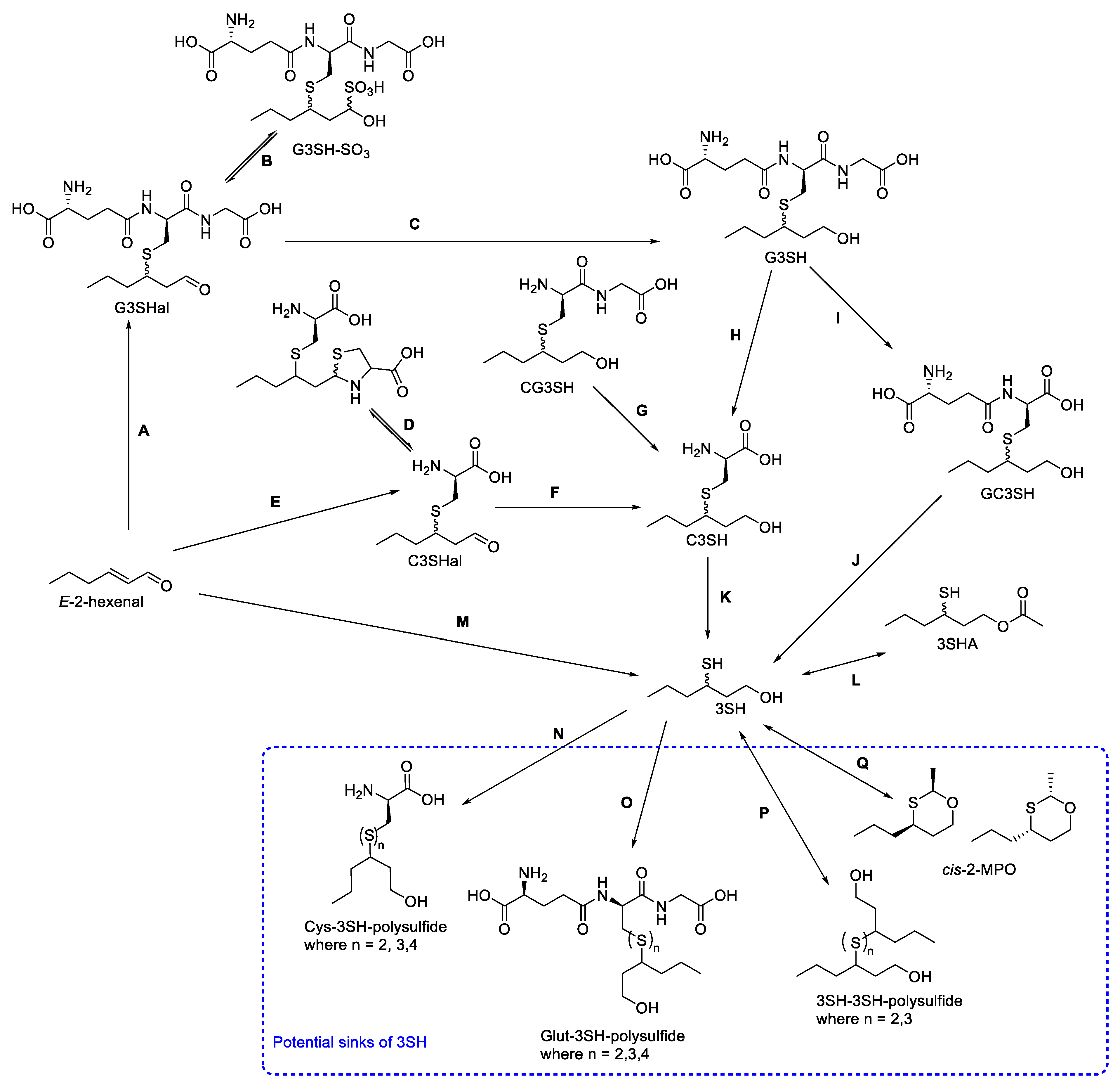 Foods 11 02050 sch006
