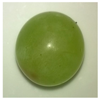 Foods 11 02216 i002 Foods 11 02216 i002