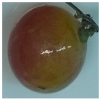 Foods 11 02216 i004 Foods 11 02216 i004