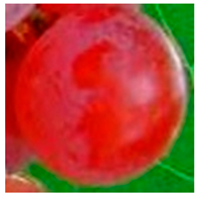 Foods 11 02216 i006 Foods 11 02216 i006