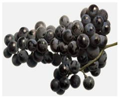 Foods 11 02216 i007 Foods 11 02216 i007