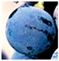 Foods 11 02216 i008 Foods 11 02216 i008